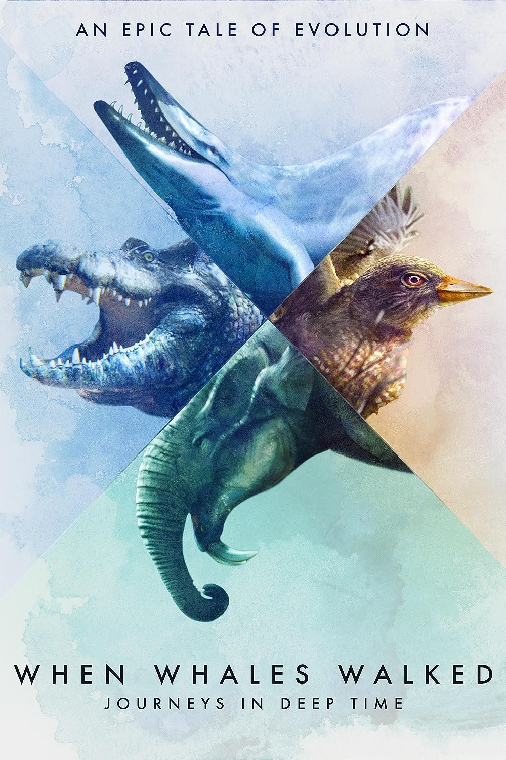When Whales Walked - Journeys In Deep Time (2019)