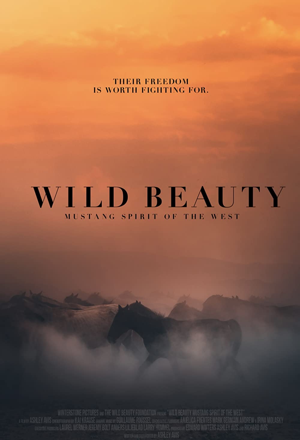 Wild Beauty - Mustang Spirit Of The West (2022)