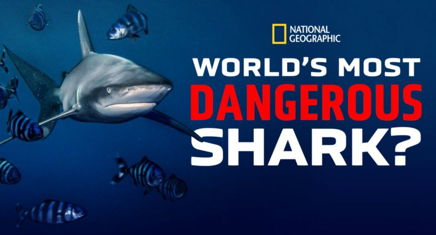 World's Most Dangerous Shark (2021)