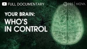 Your Brain - Who's In Control (2023)