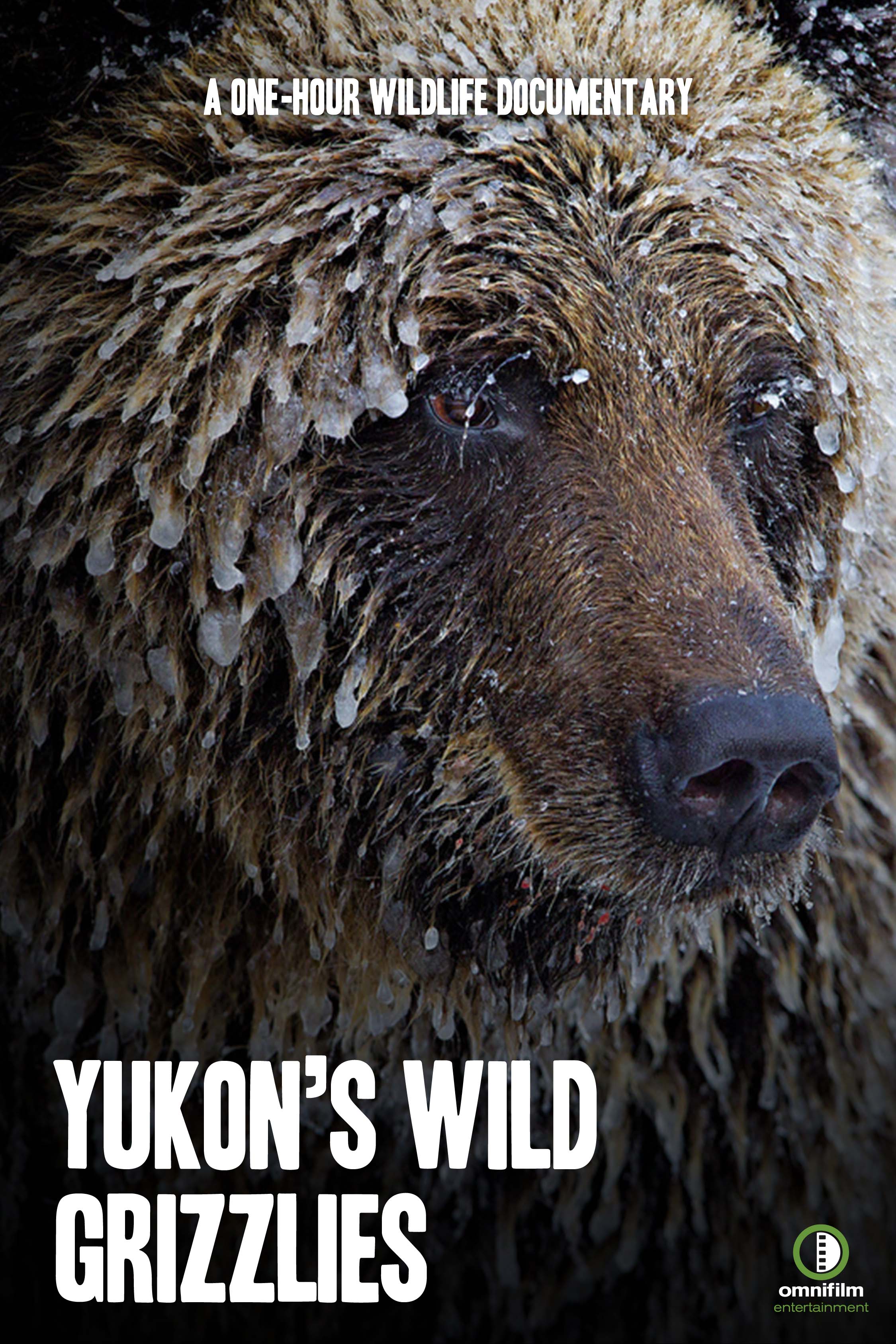 Yukon's Wild Grizzlies (2021)