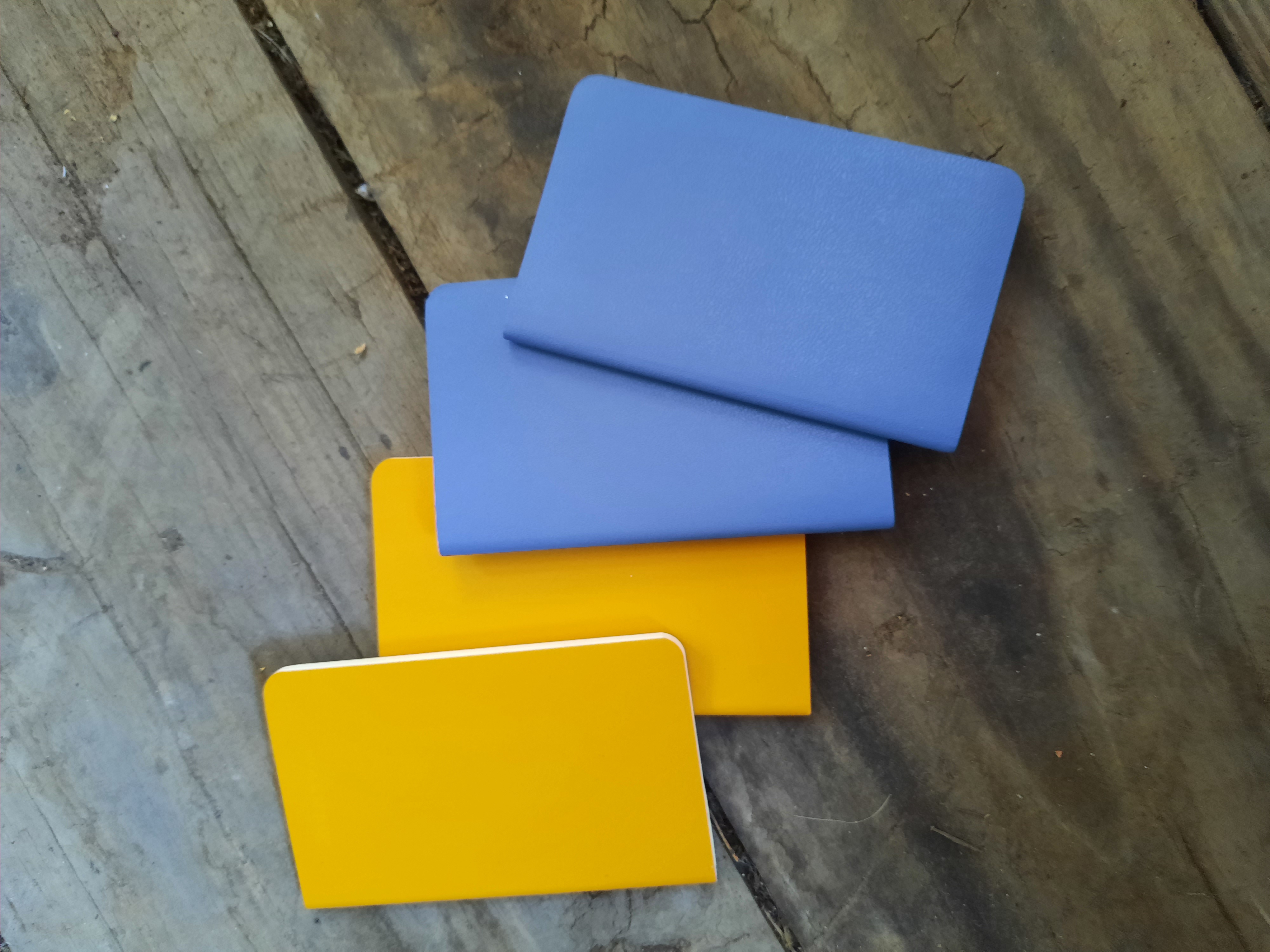 Moleskin pocket notebook