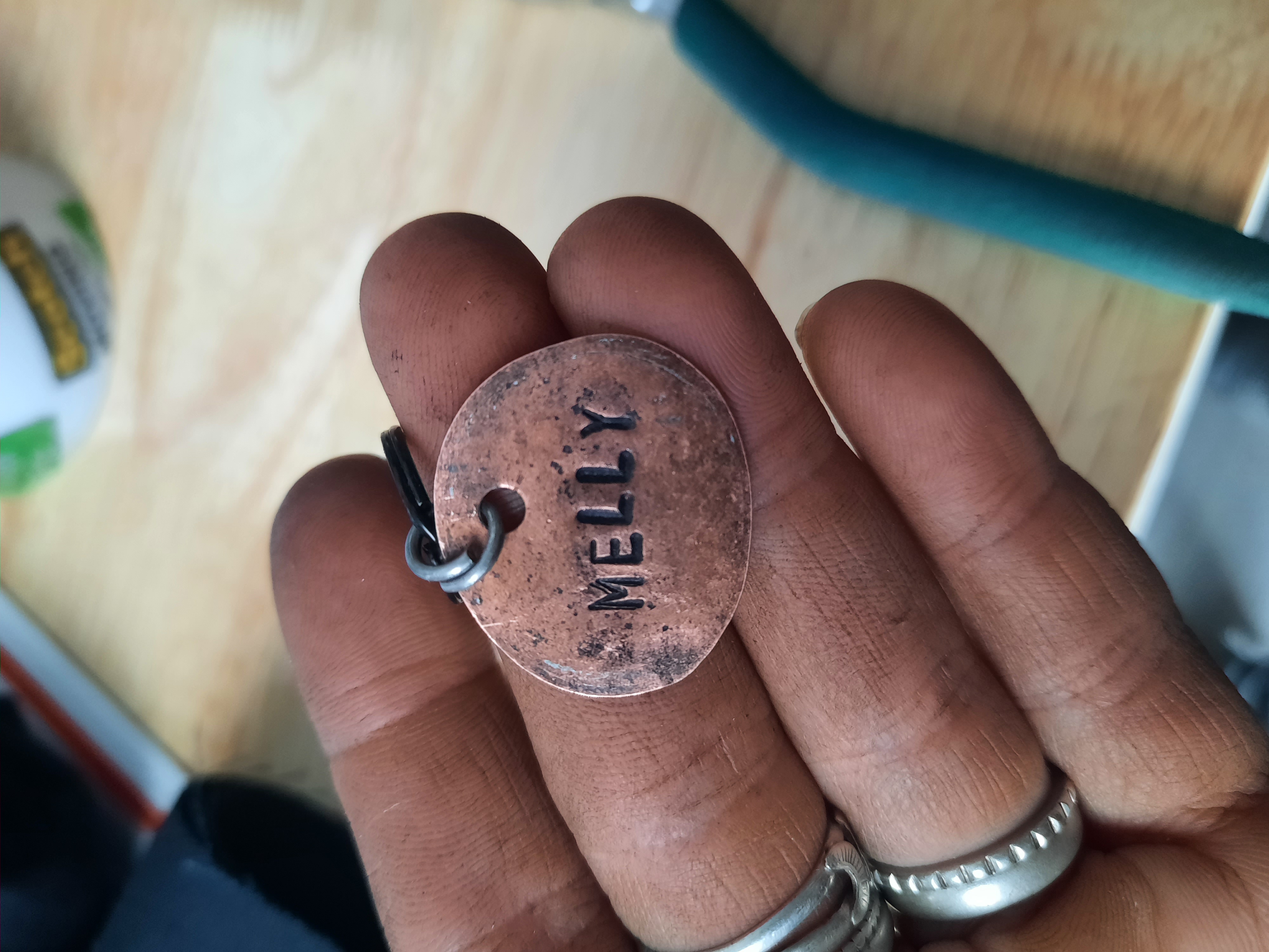 Custom Penny Dog tag/ Key Chain