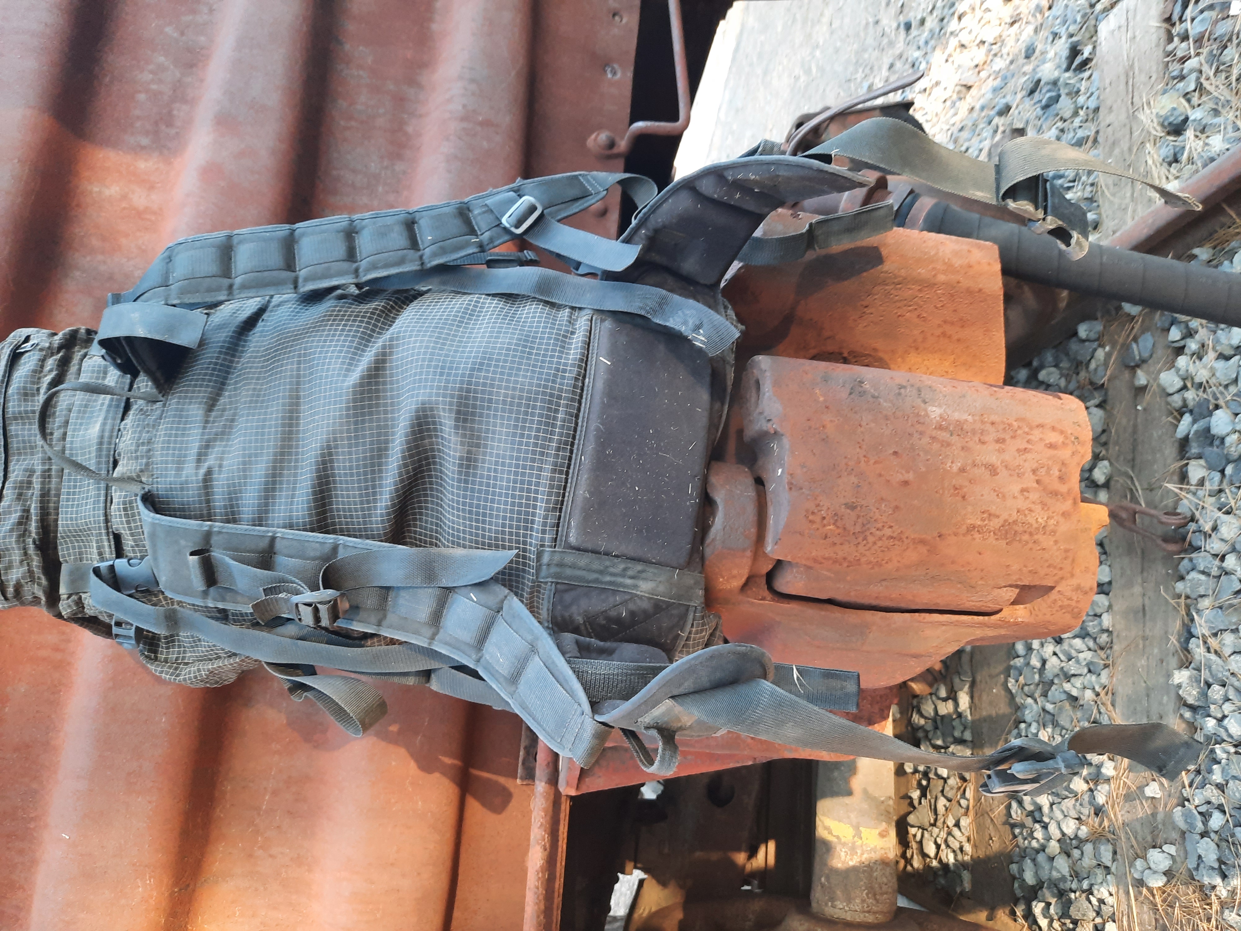 Wildthings Black Backpack