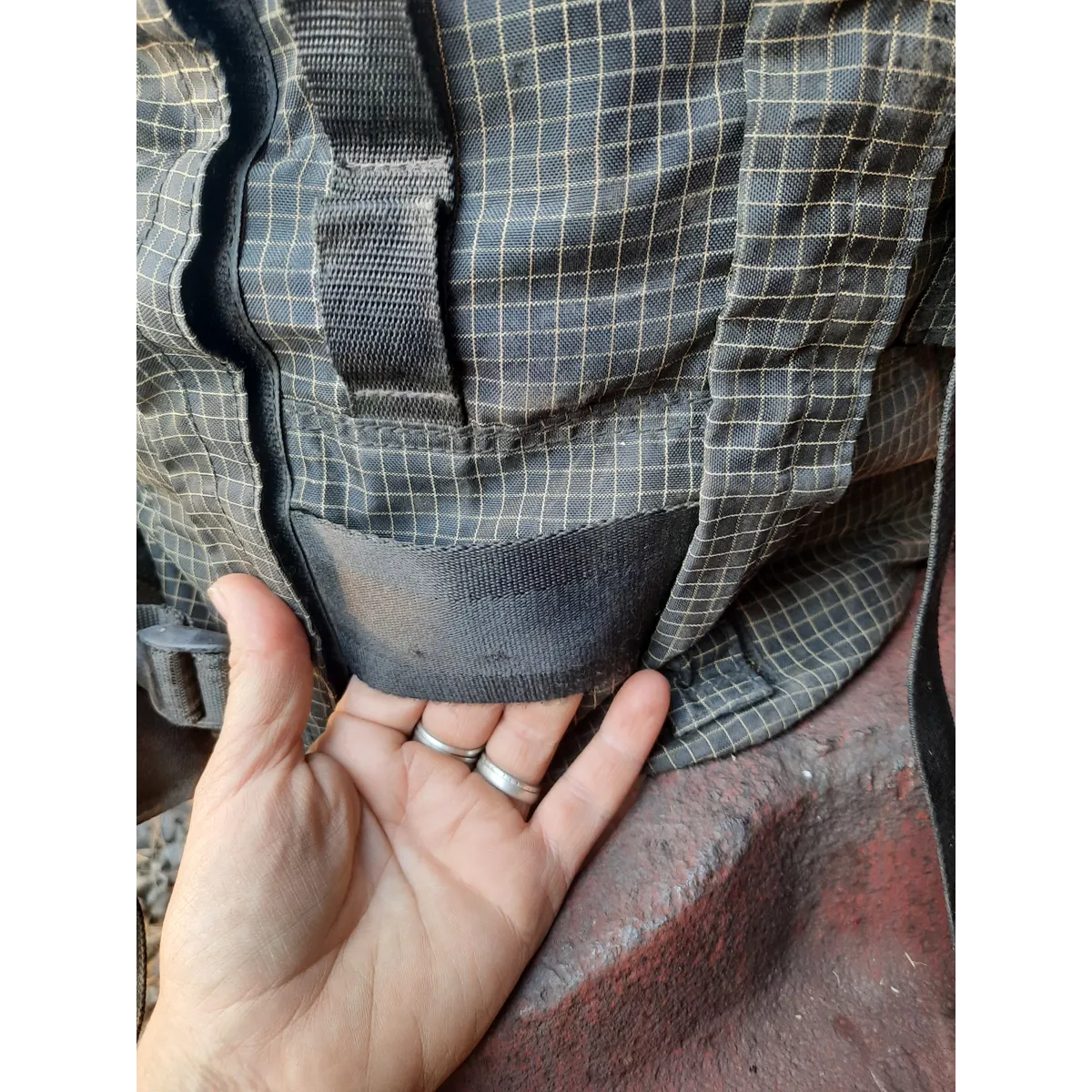 Wildthings Black Backpack