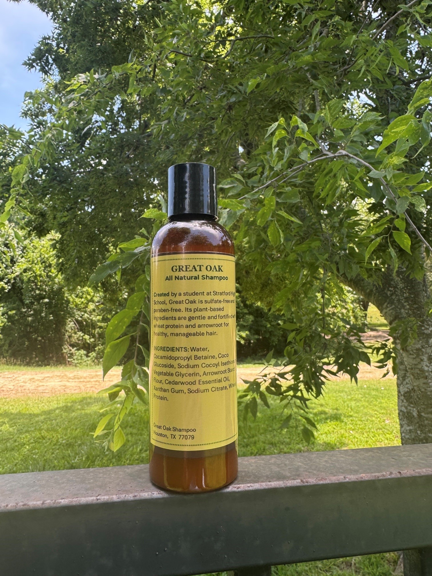 Cedarwood Shampoo