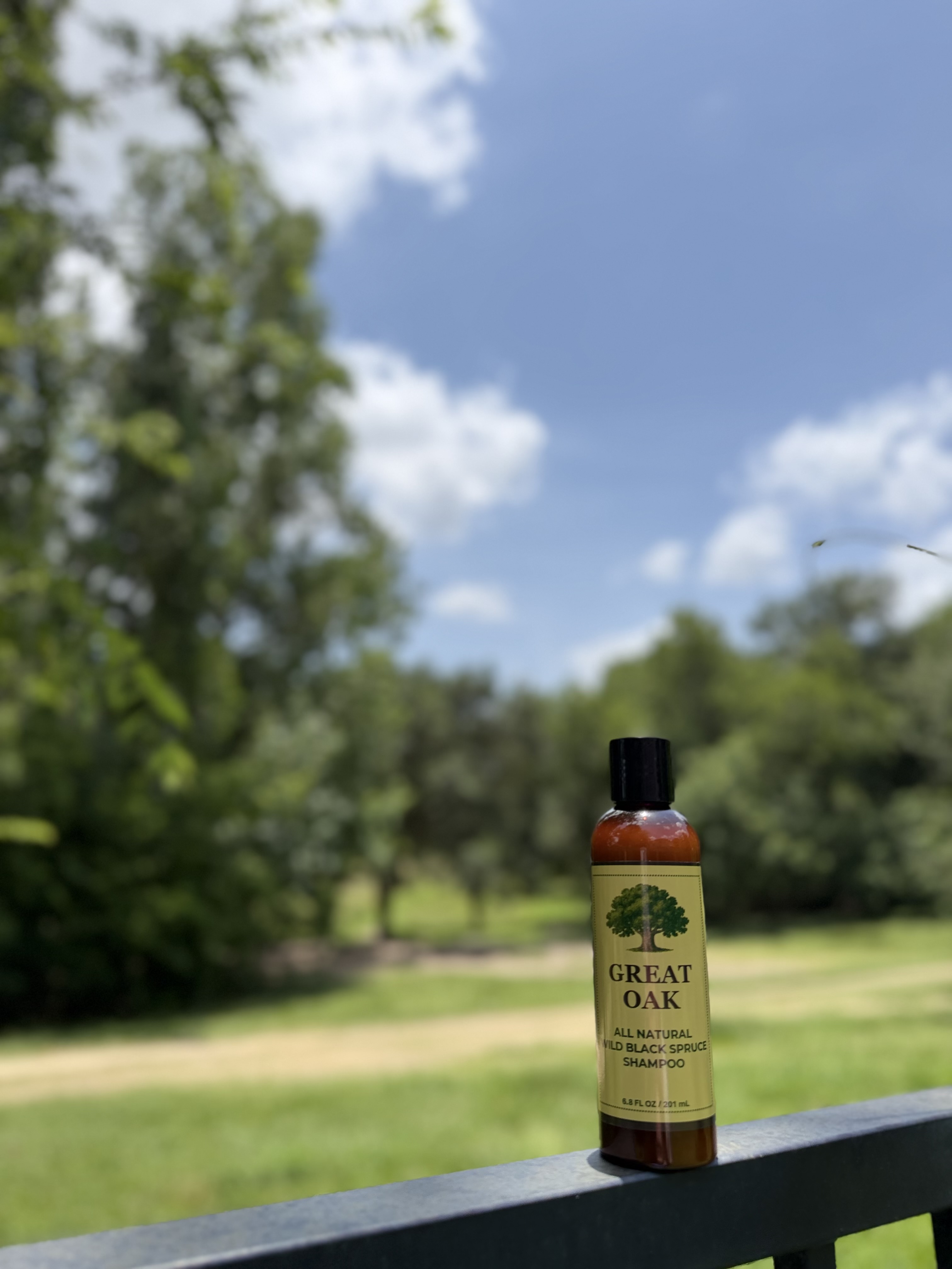 Wild Black Spruce Shampoo