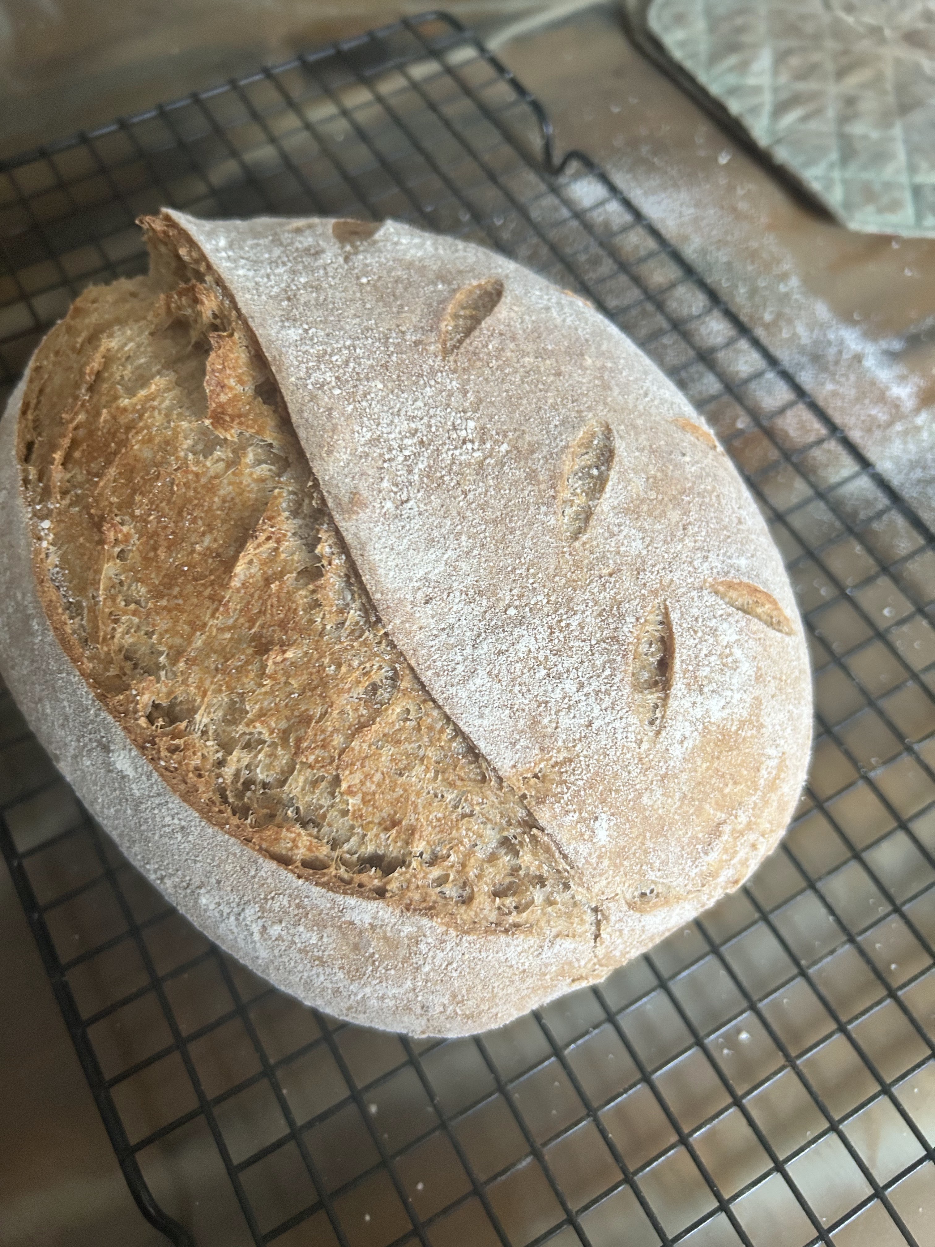 FMF dehydrated sourdough chips
