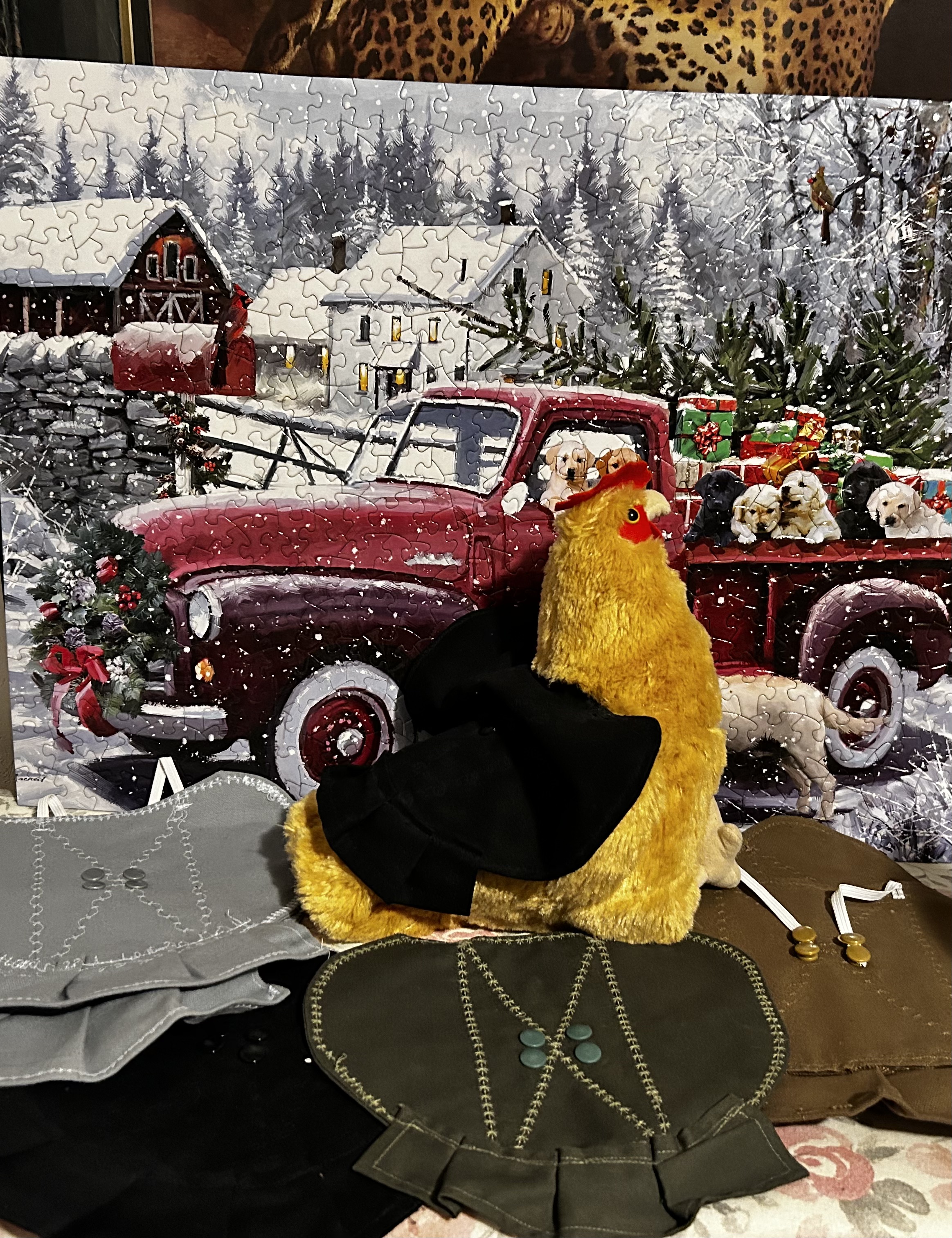 Hen Saddle