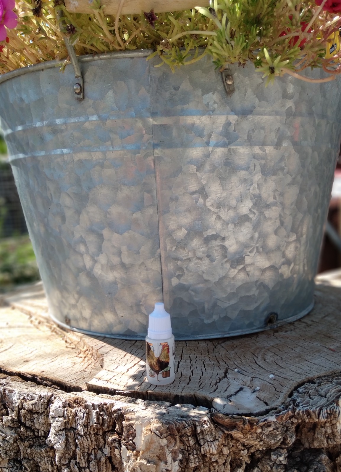 Pest Spray solution