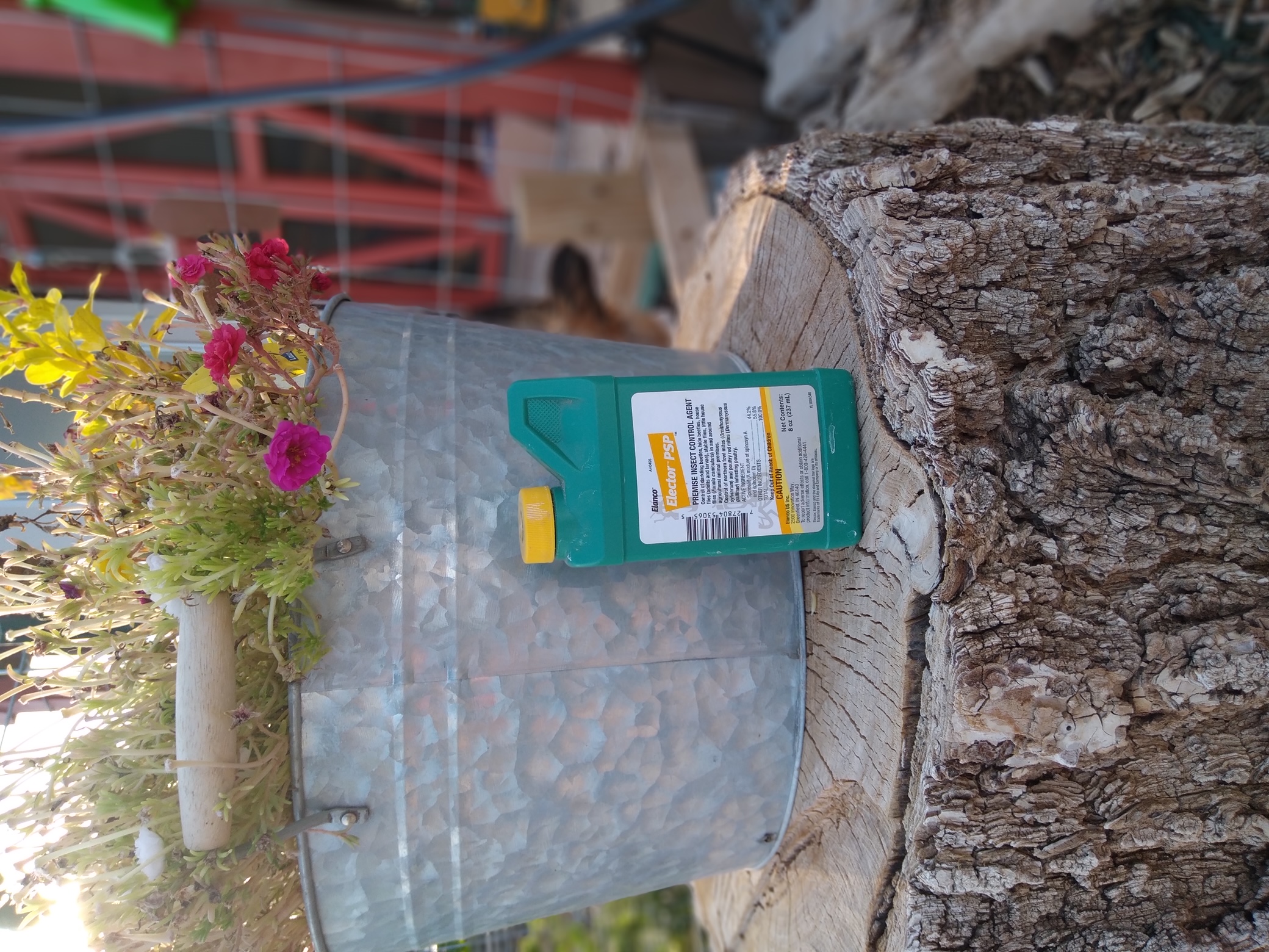 Pest Spray solution