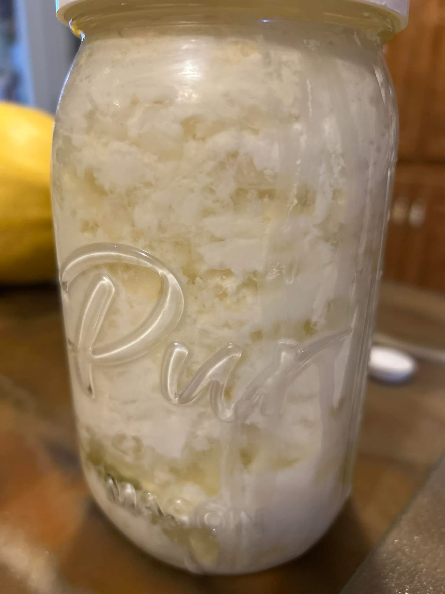 Raw Kefir grains