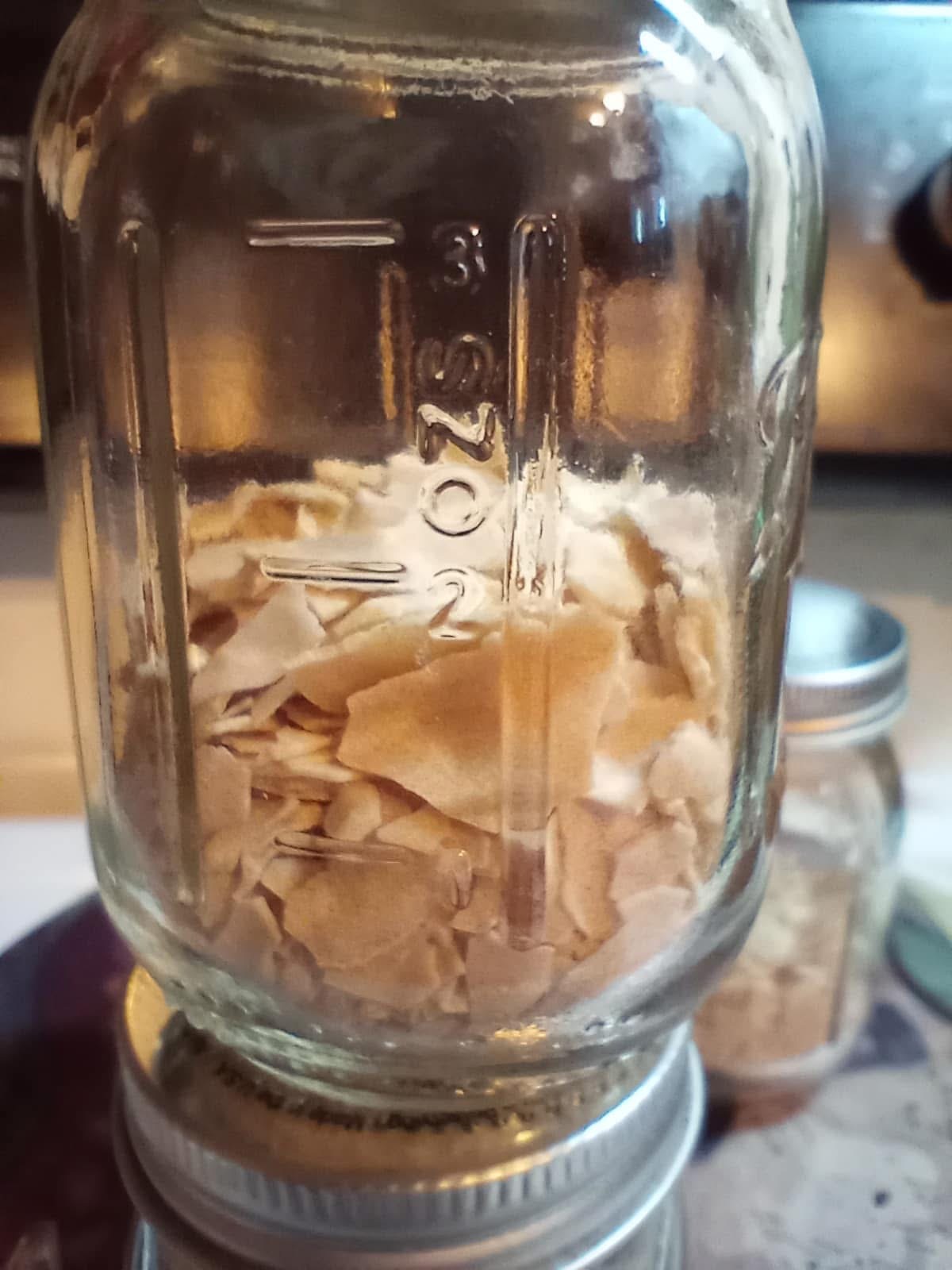 FMF dehydrated sourdough chips
