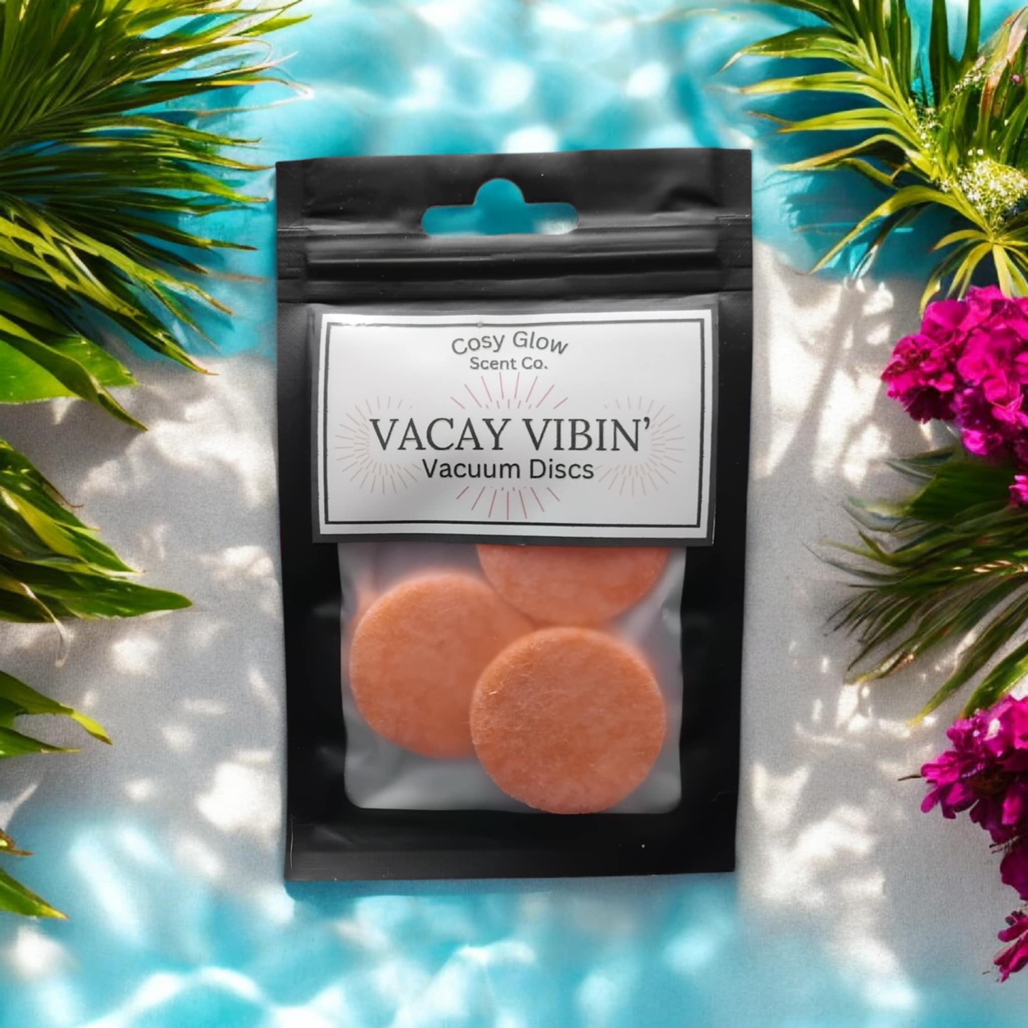 Vacay Vibin' Vacuum Discs