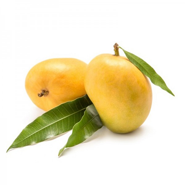Alphonso Mango