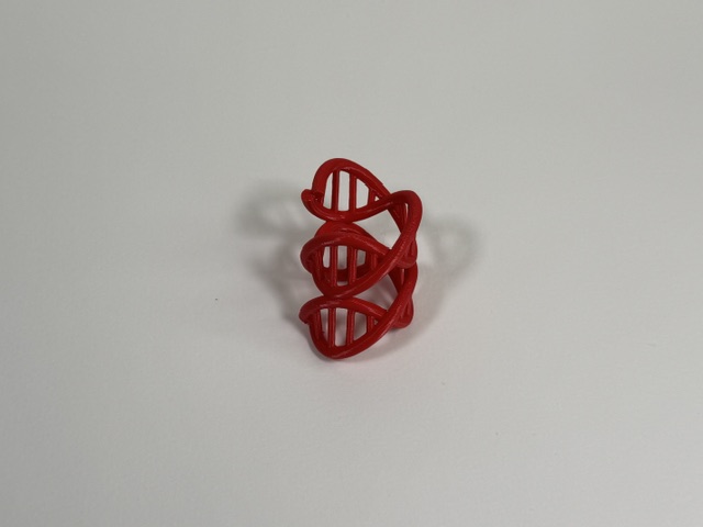 DNA Woggle - Red