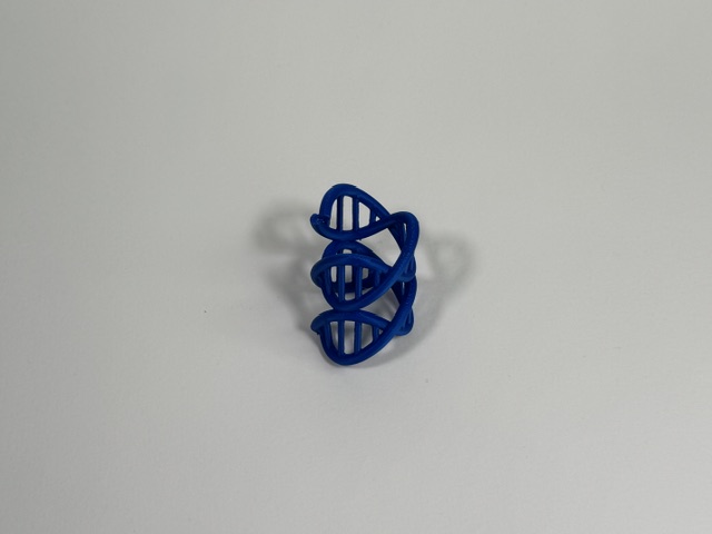 DNA Woggle - Blue