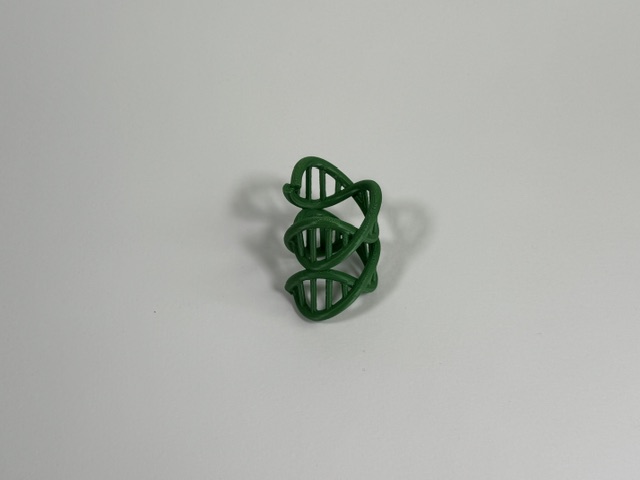 DNA Woggle - Green