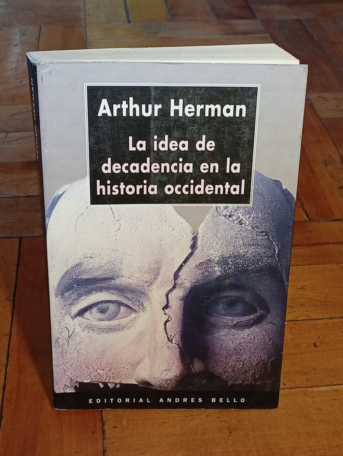 La idea de decadencia en la historia Occidental