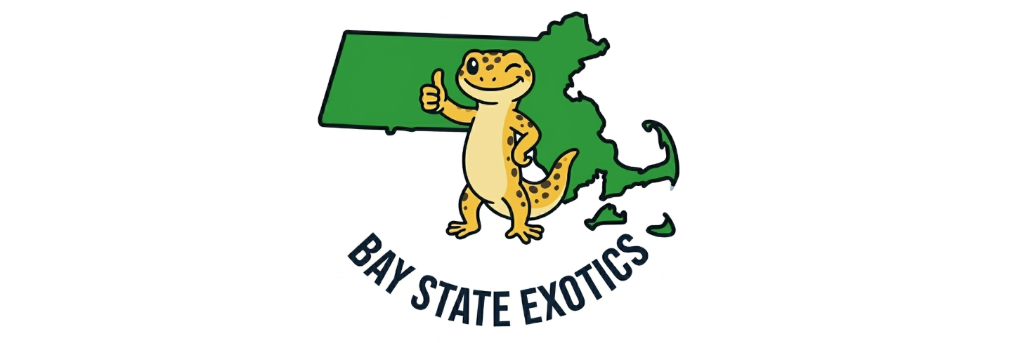 Bay State Exotics