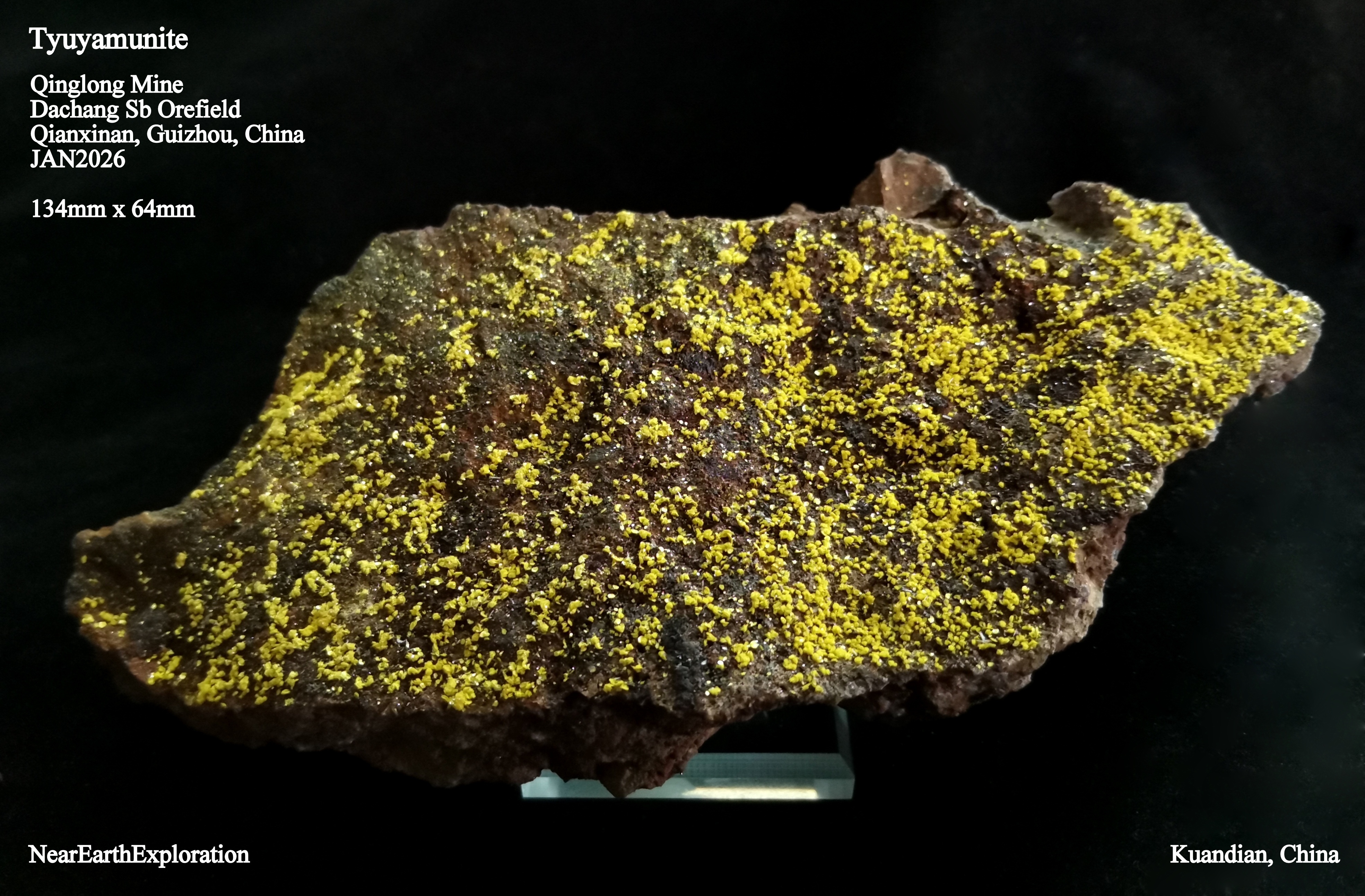 Tyuyamunite - Qinglong Mine, China
