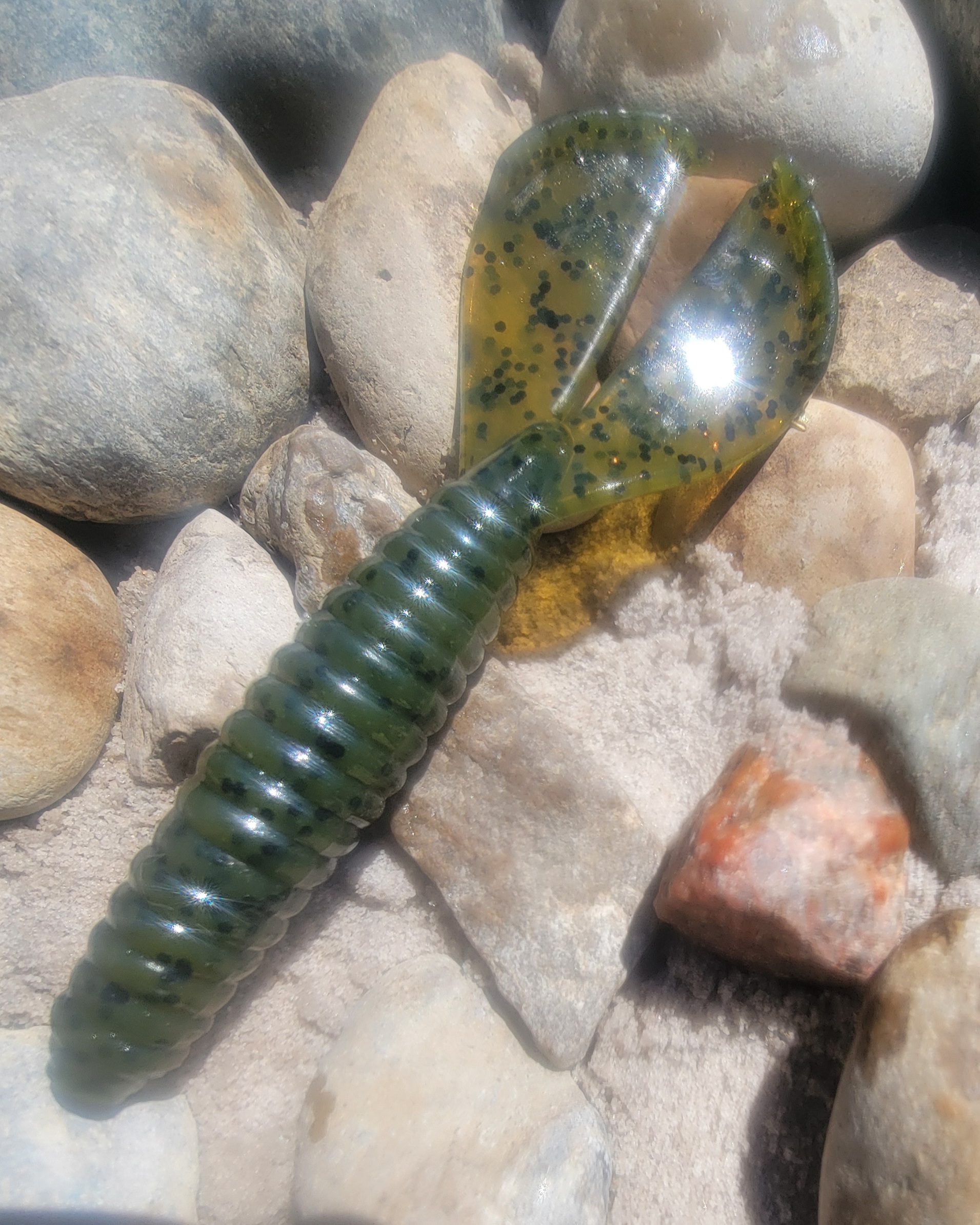 Green Pumpkin - 8pc
