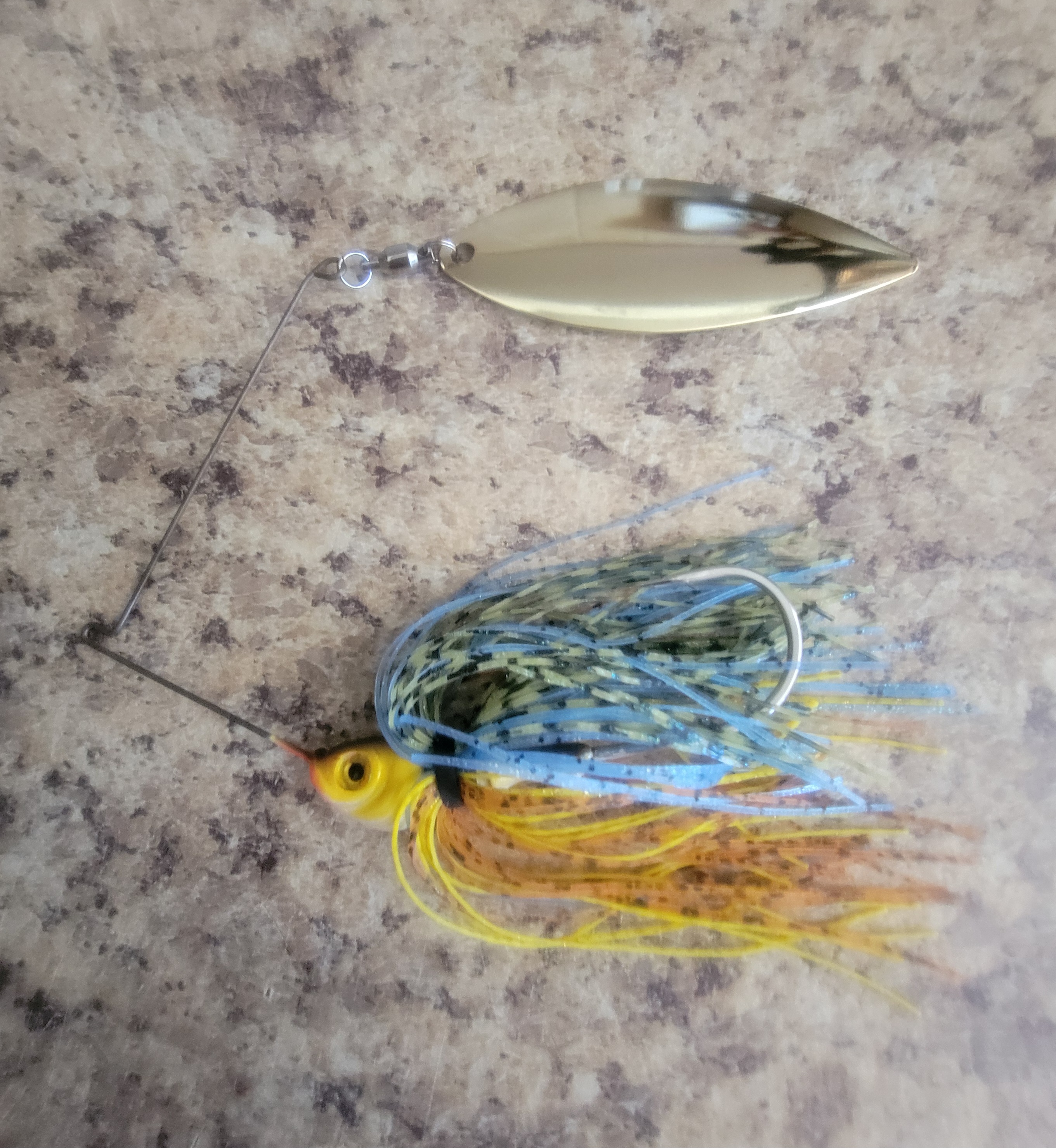 Sunfish