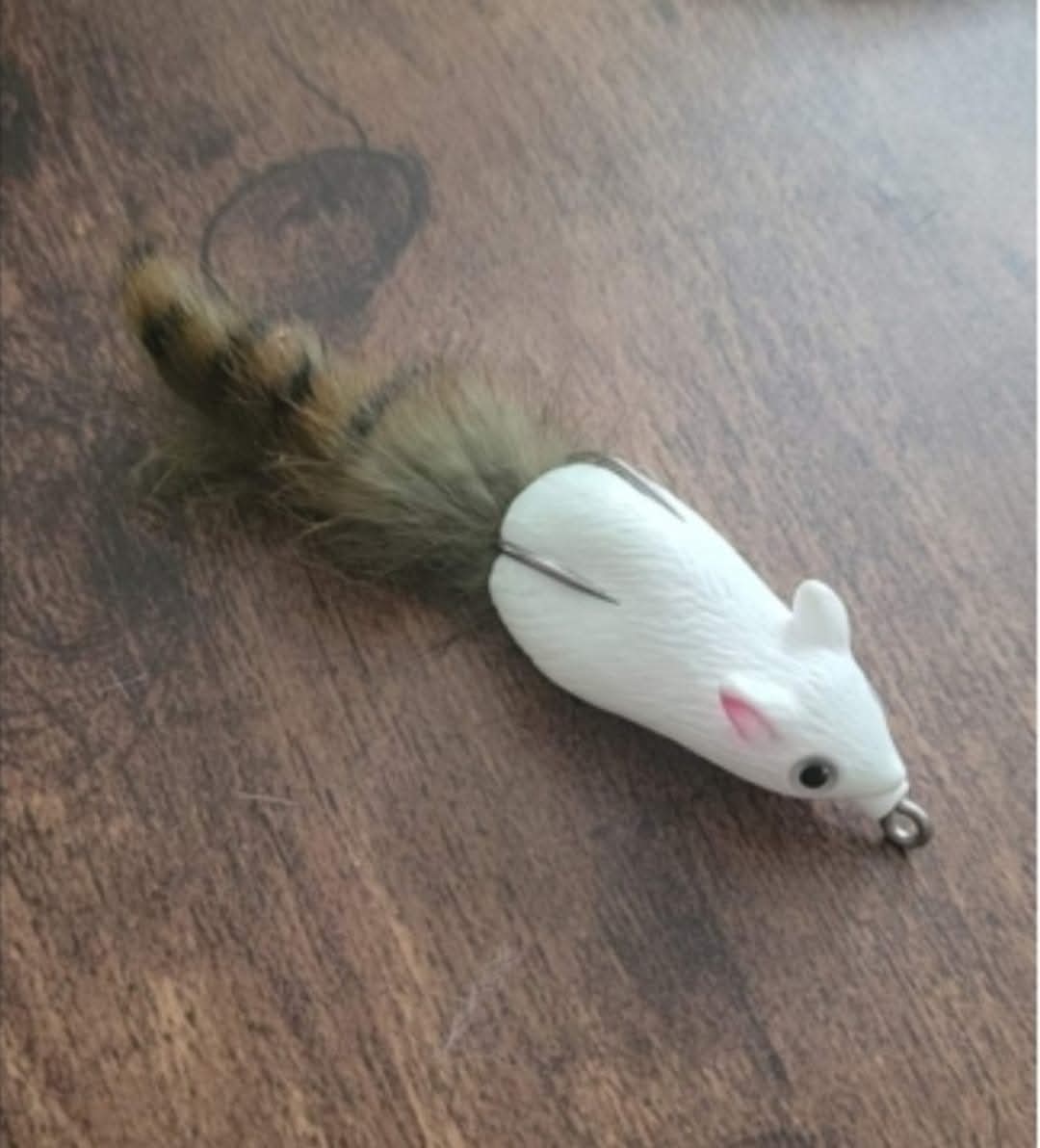 Woodrat White