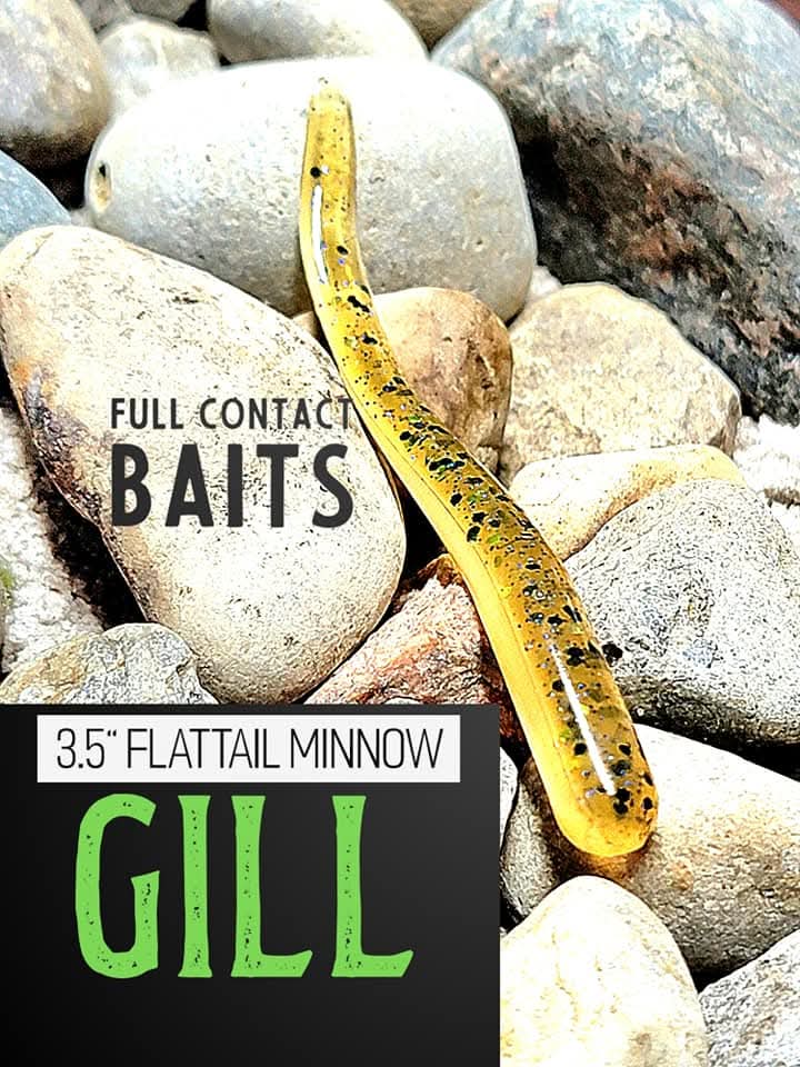 Gill Flattail - 10pc