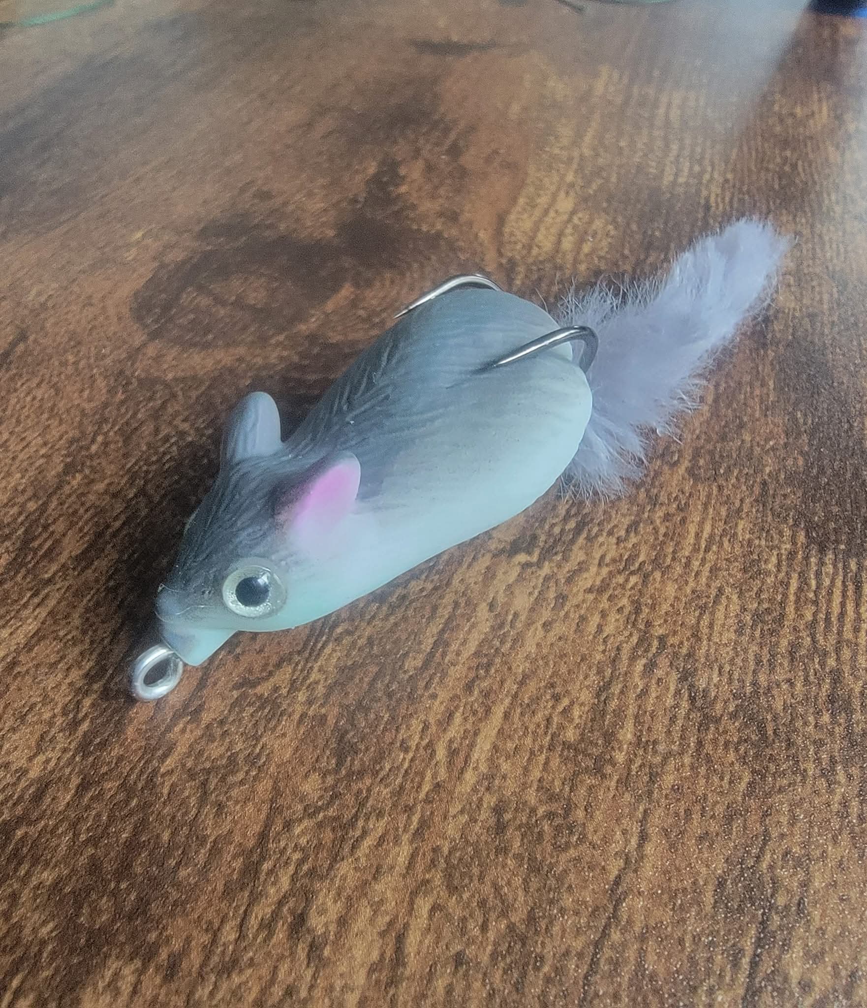 Woodrat Grey