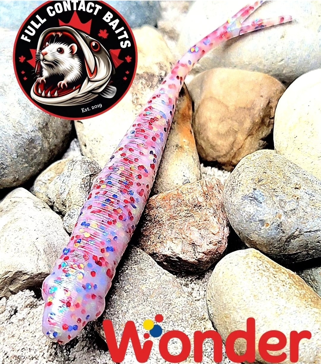 Wonder - 6pc