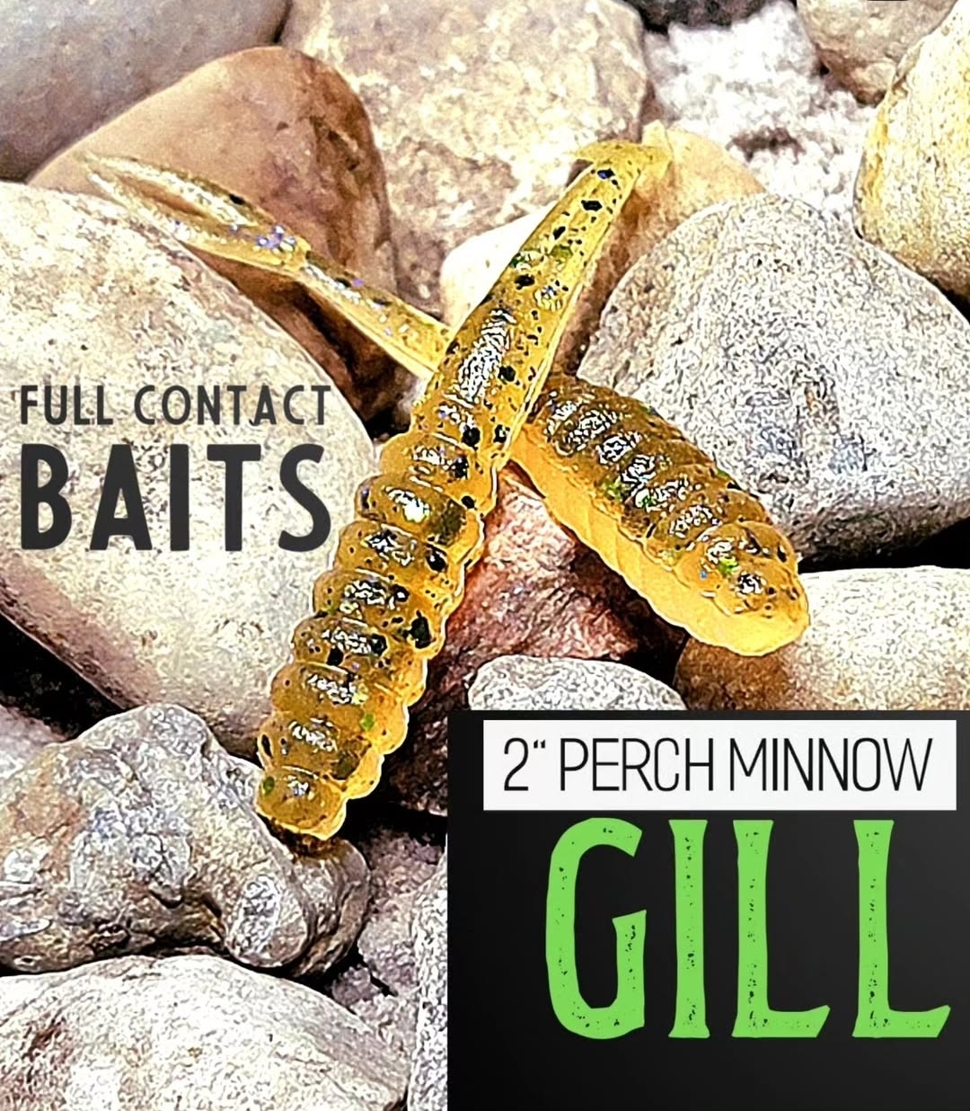Gill - 12pc
