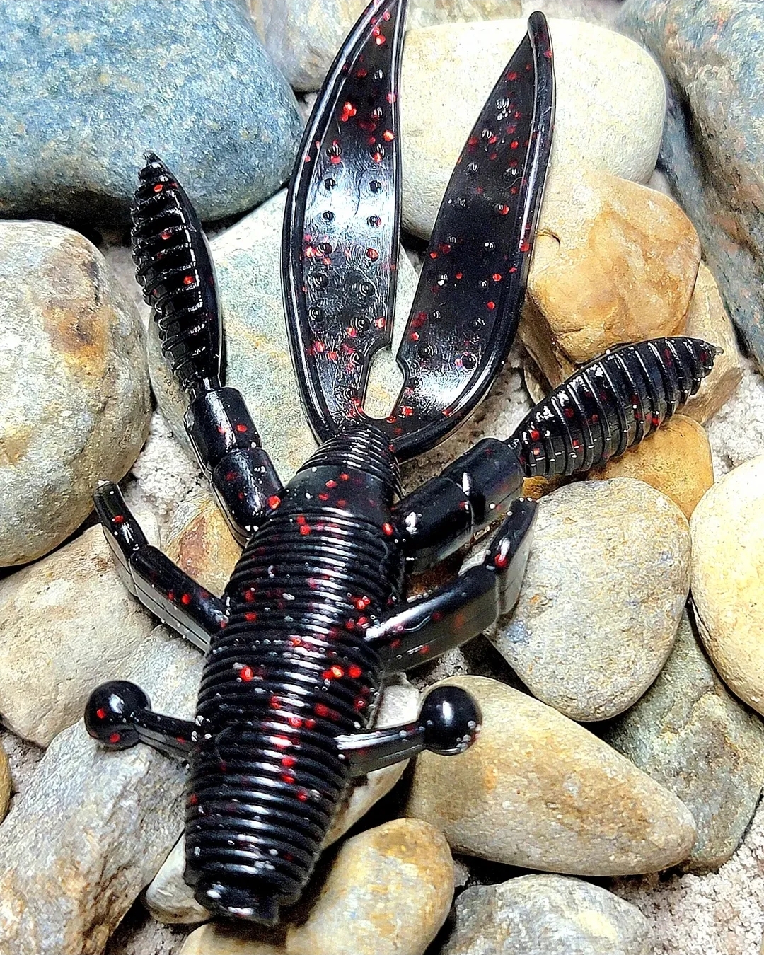 Black & Red - 6pc
