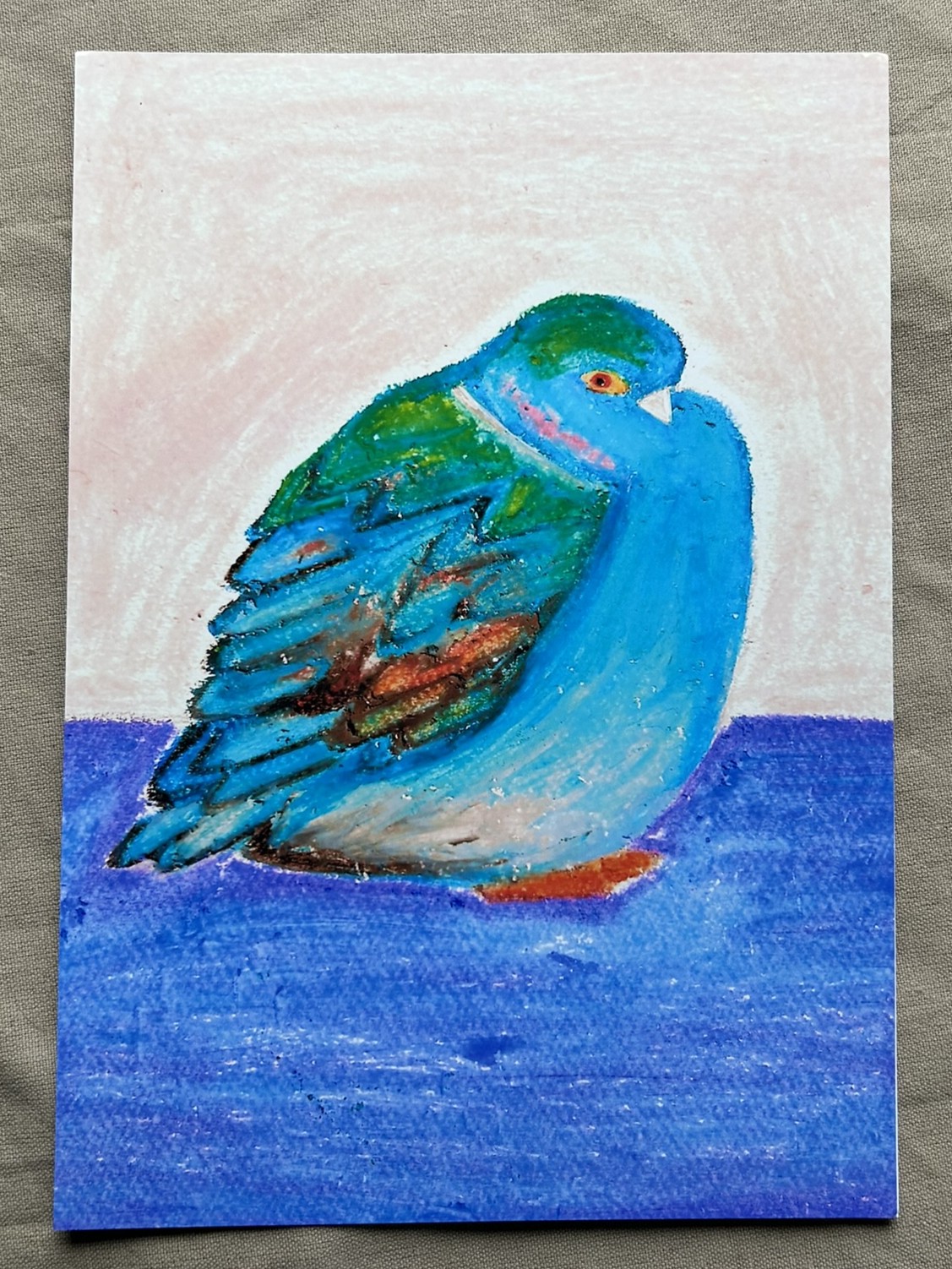 Chunky Pigeon