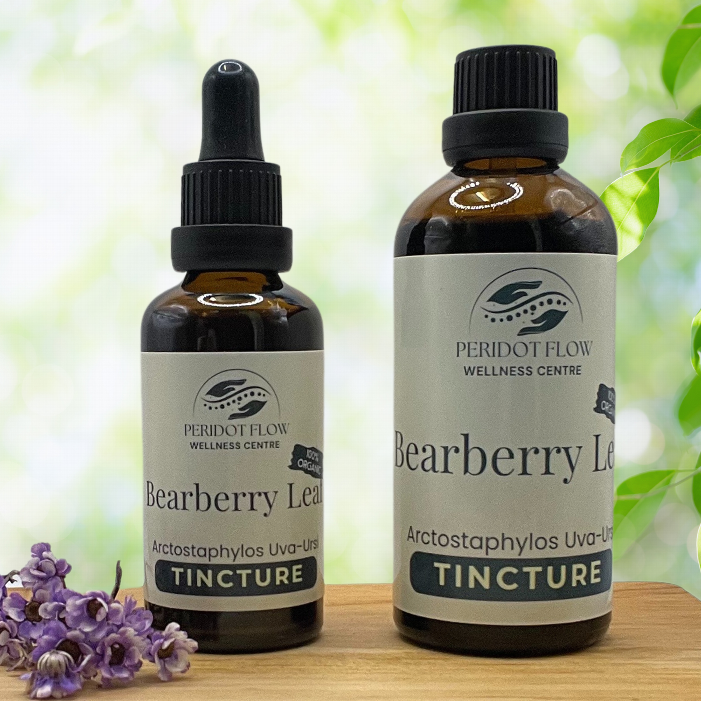 Bearberry Leaf Herbal Tincture 50ml