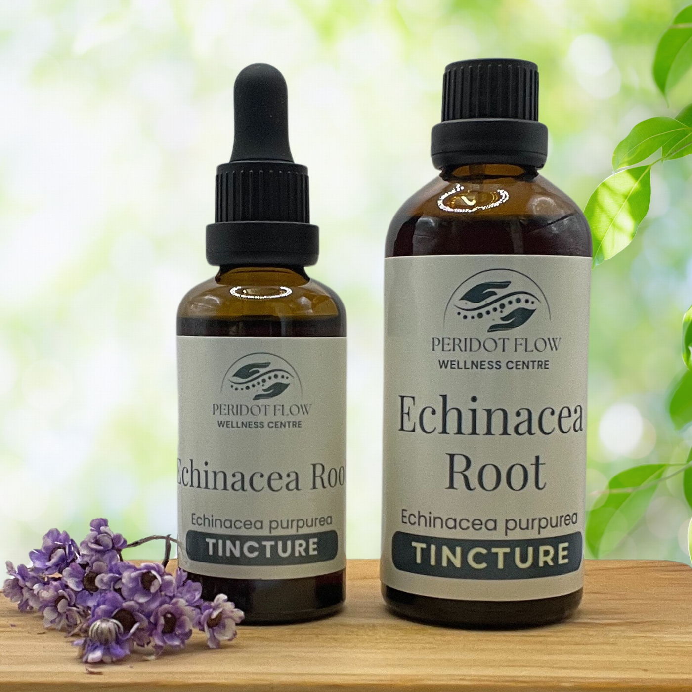 Echinacea Root Herbal Tincture 50ml