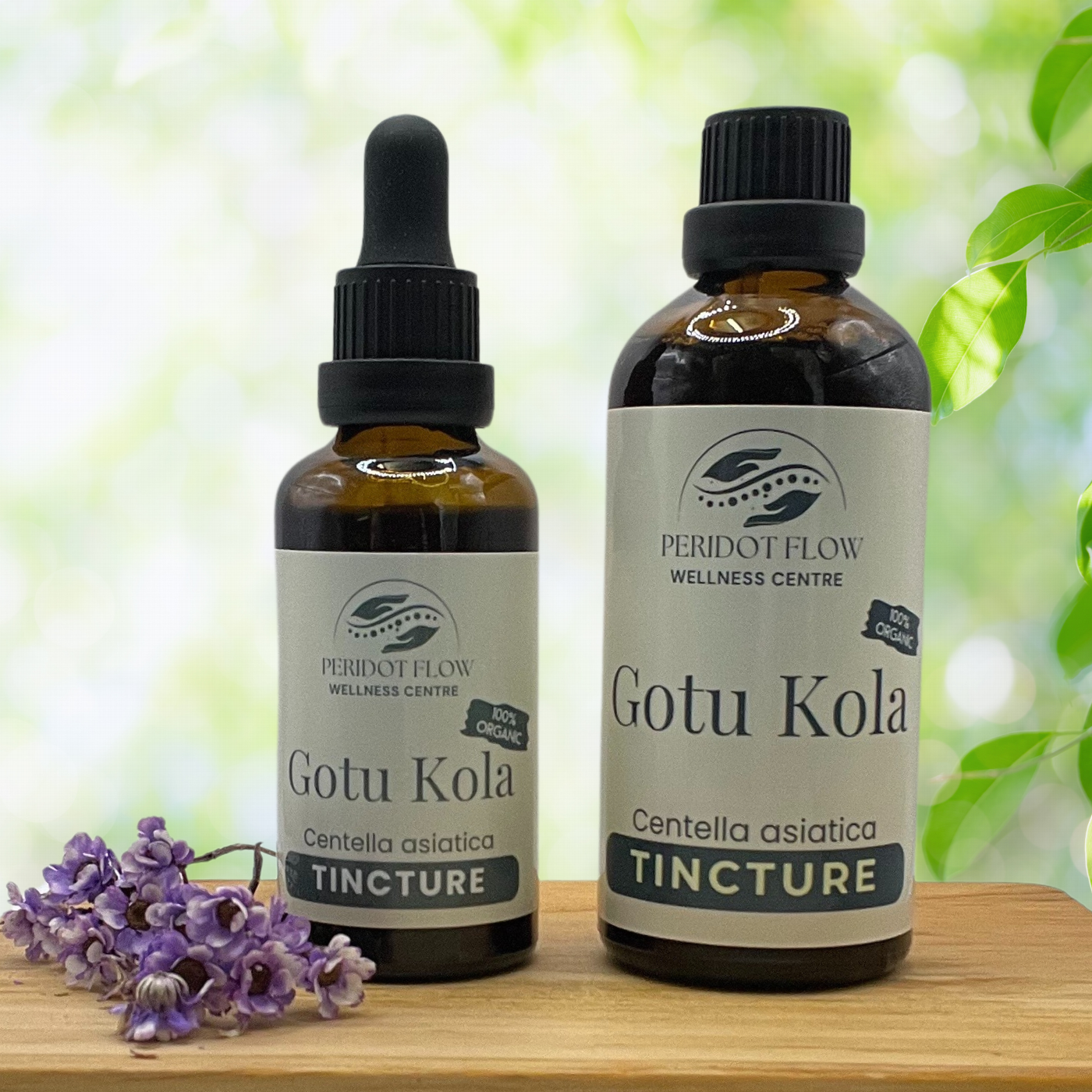 Gotu Kola Herbal Tincture 50ml