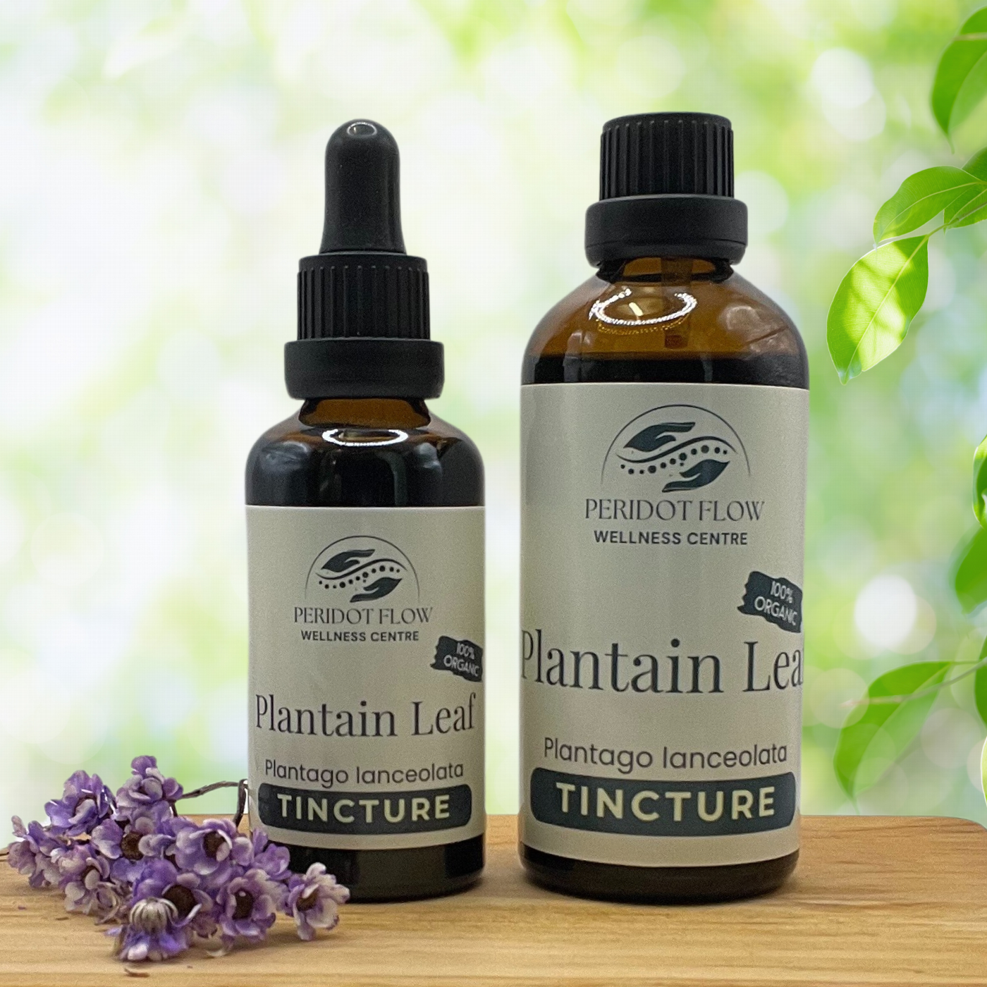 Plantain Leaf Herbal Tincture 50ml