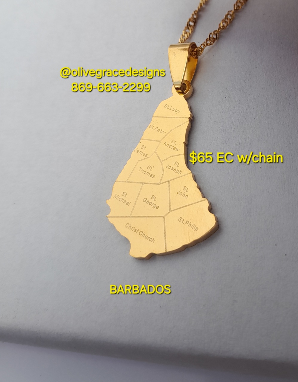 Barbados Pendant w/ Chain