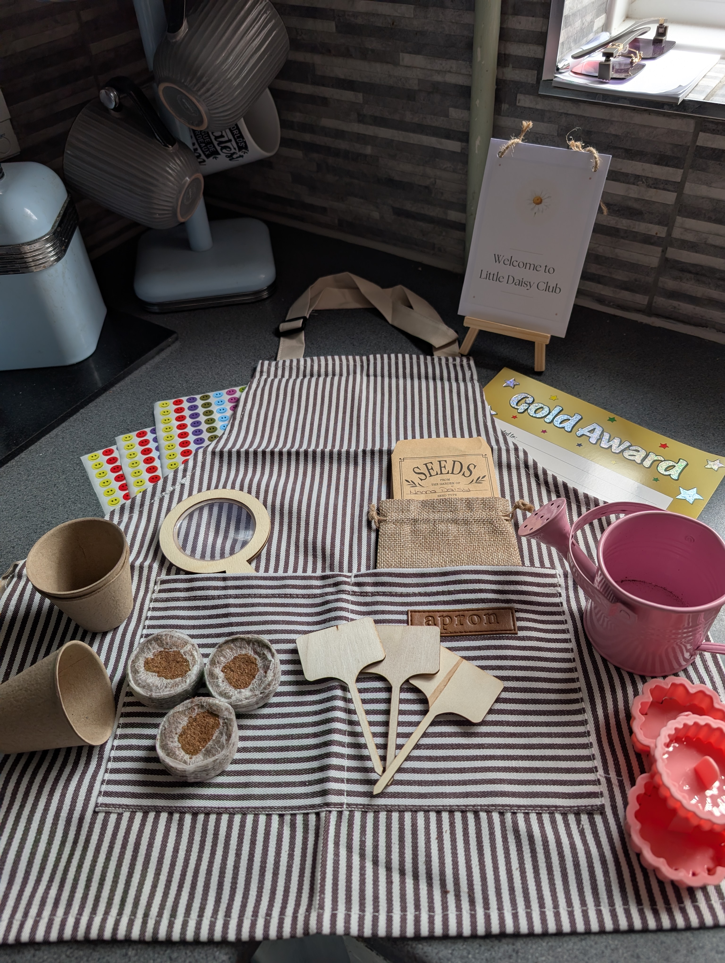 Little Daisy Club starter box