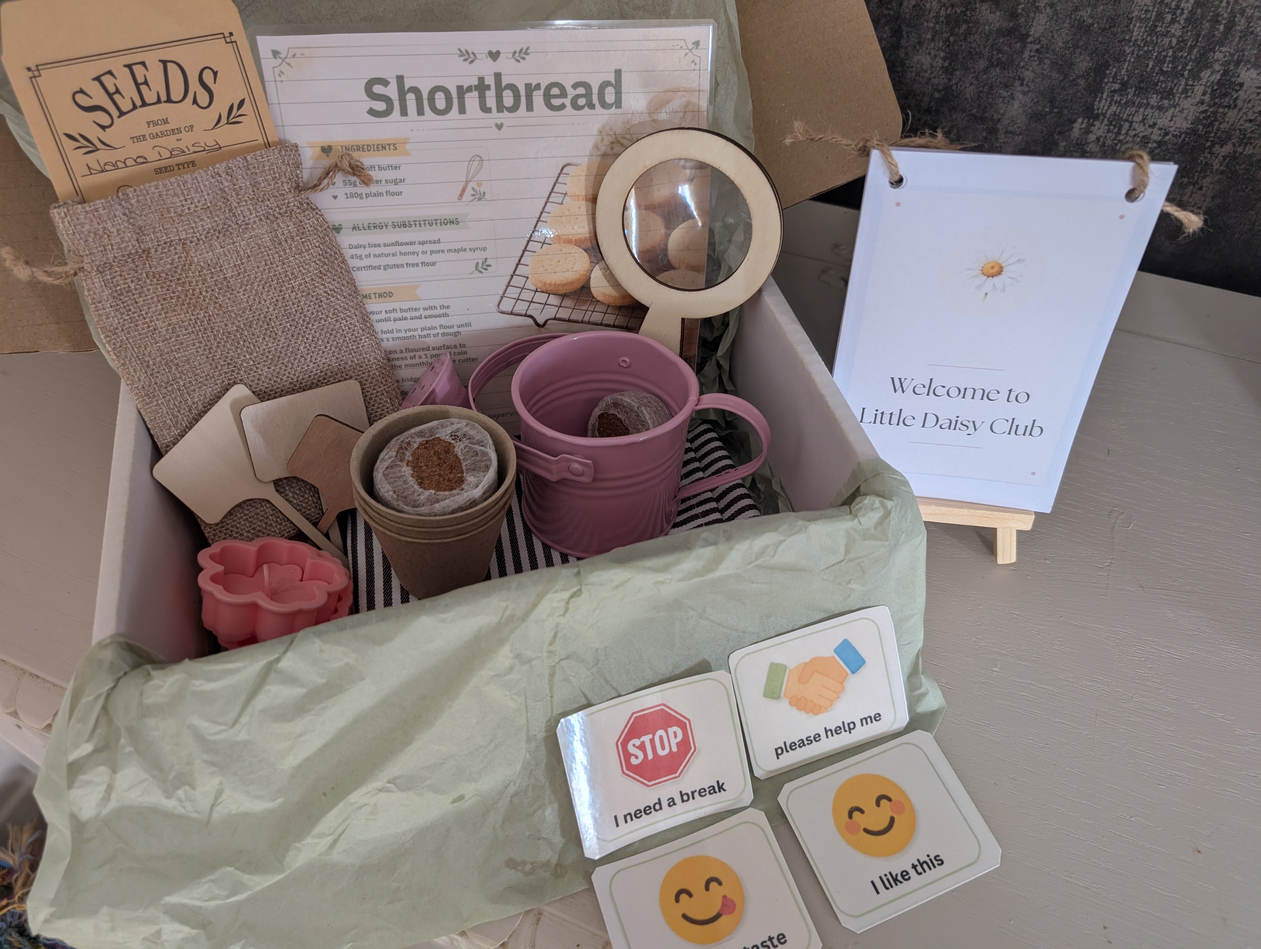 Little Daisy Club starter box