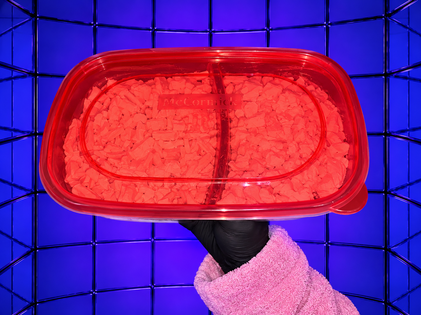 lunch box