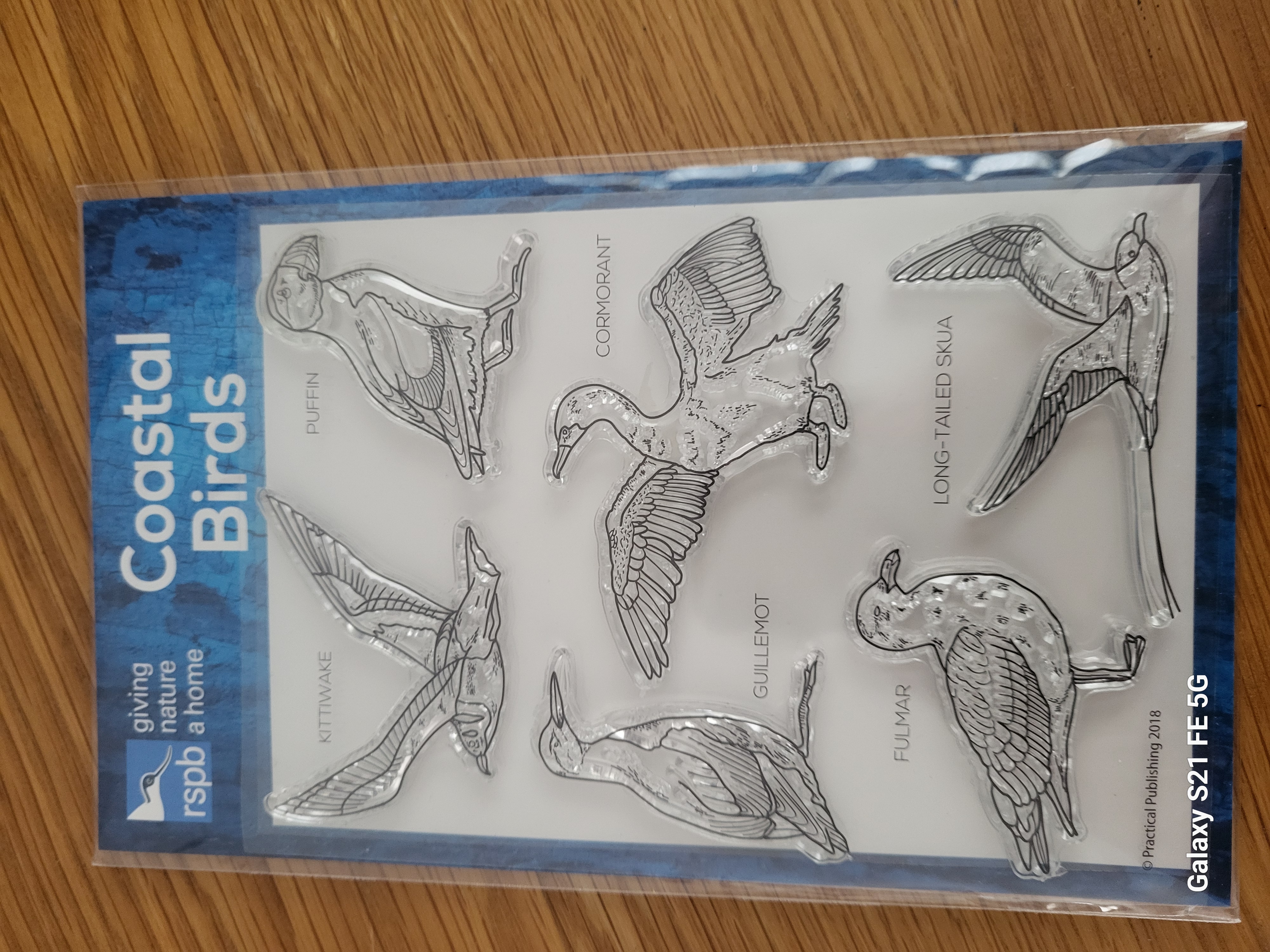 Coastal Birds