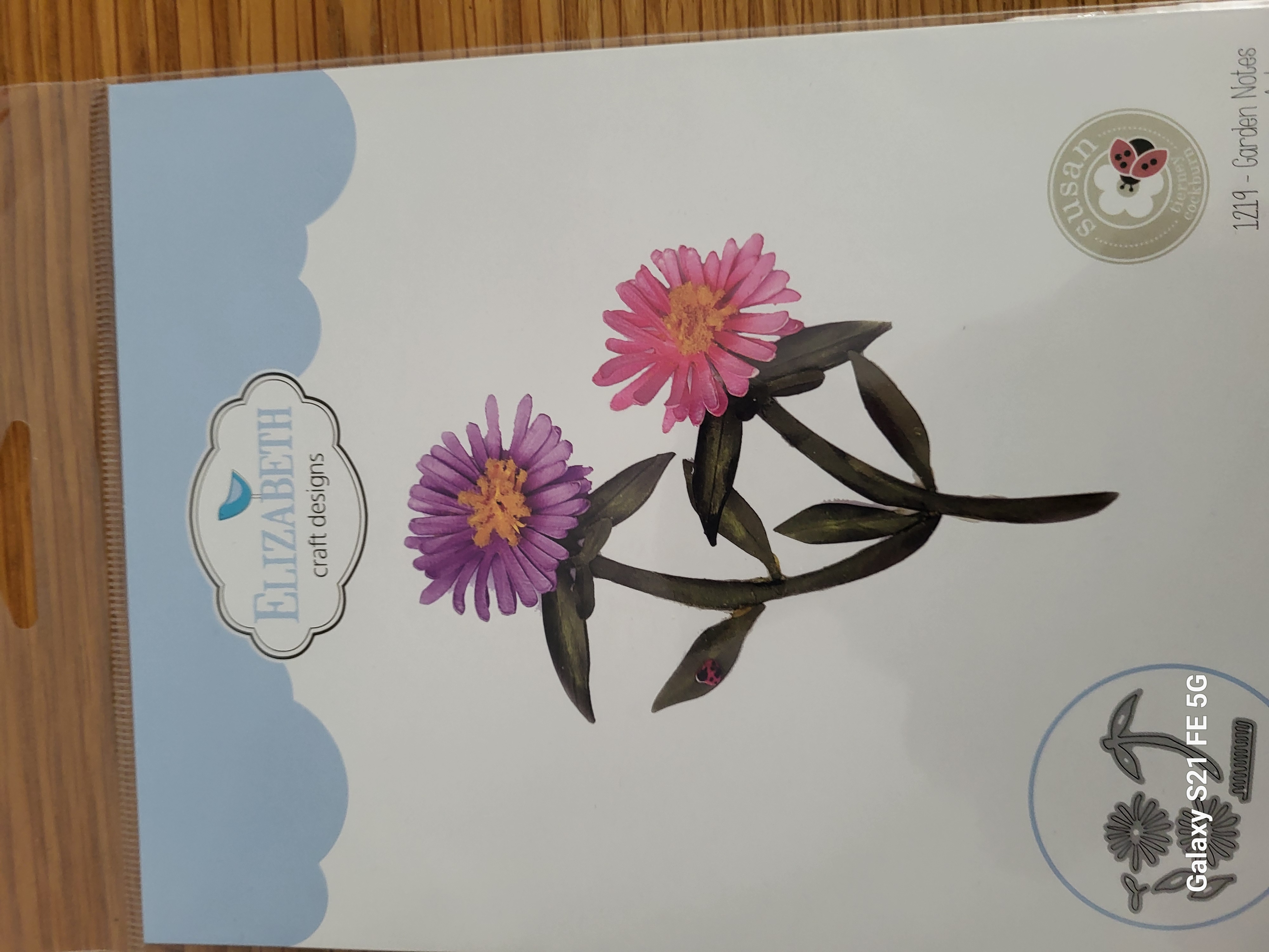 Garden Notes - Aster