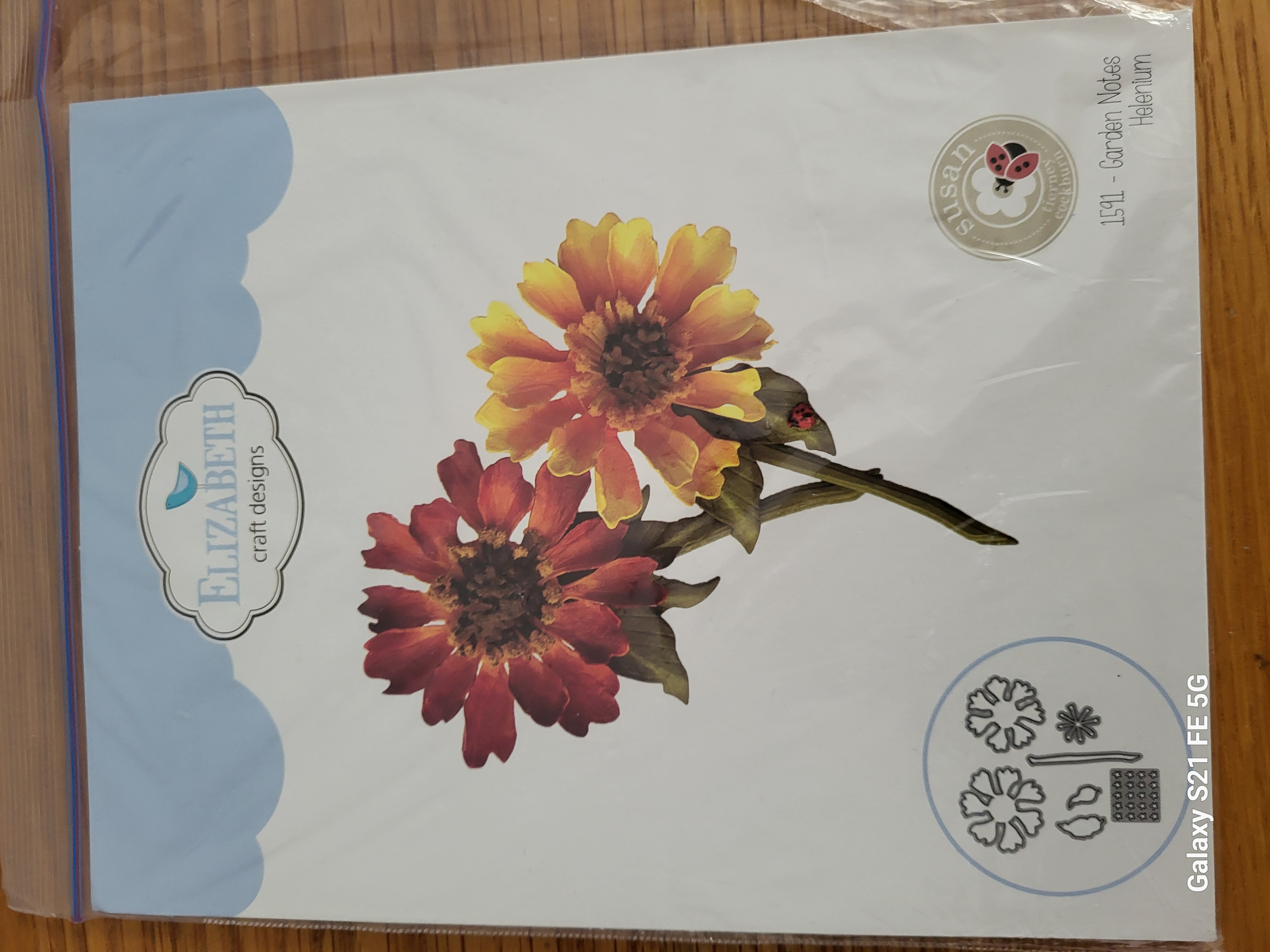 Garden Notes - Helenium