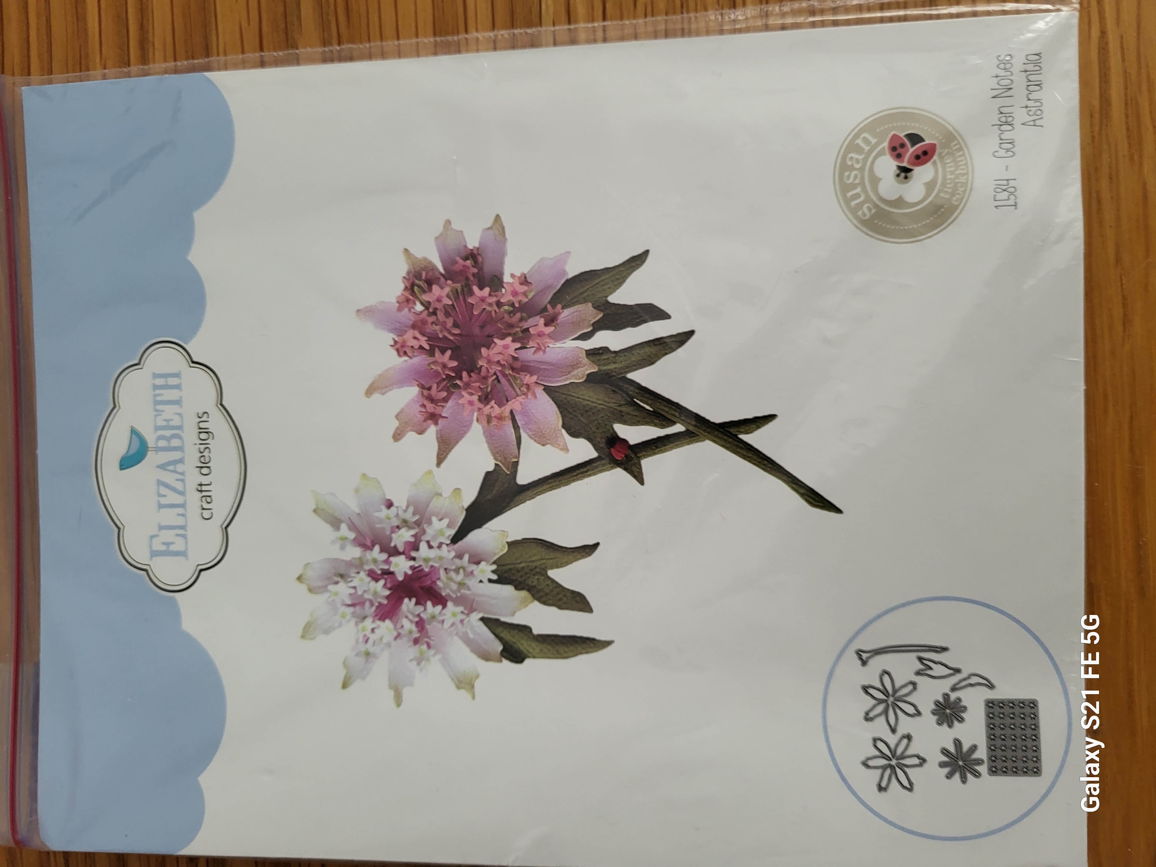 Garden Notes - Astrantia