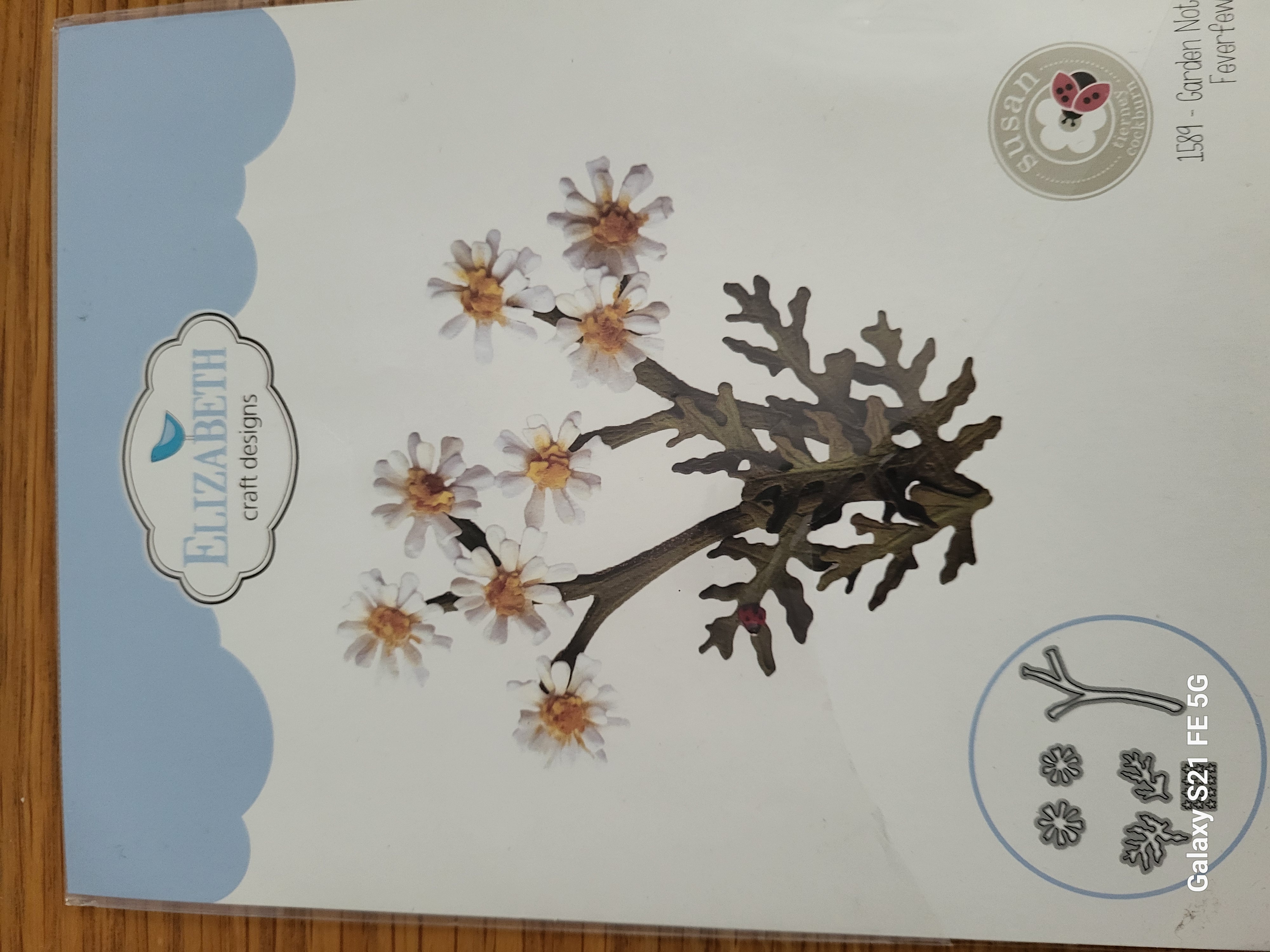 Garden Notes - Feverfew