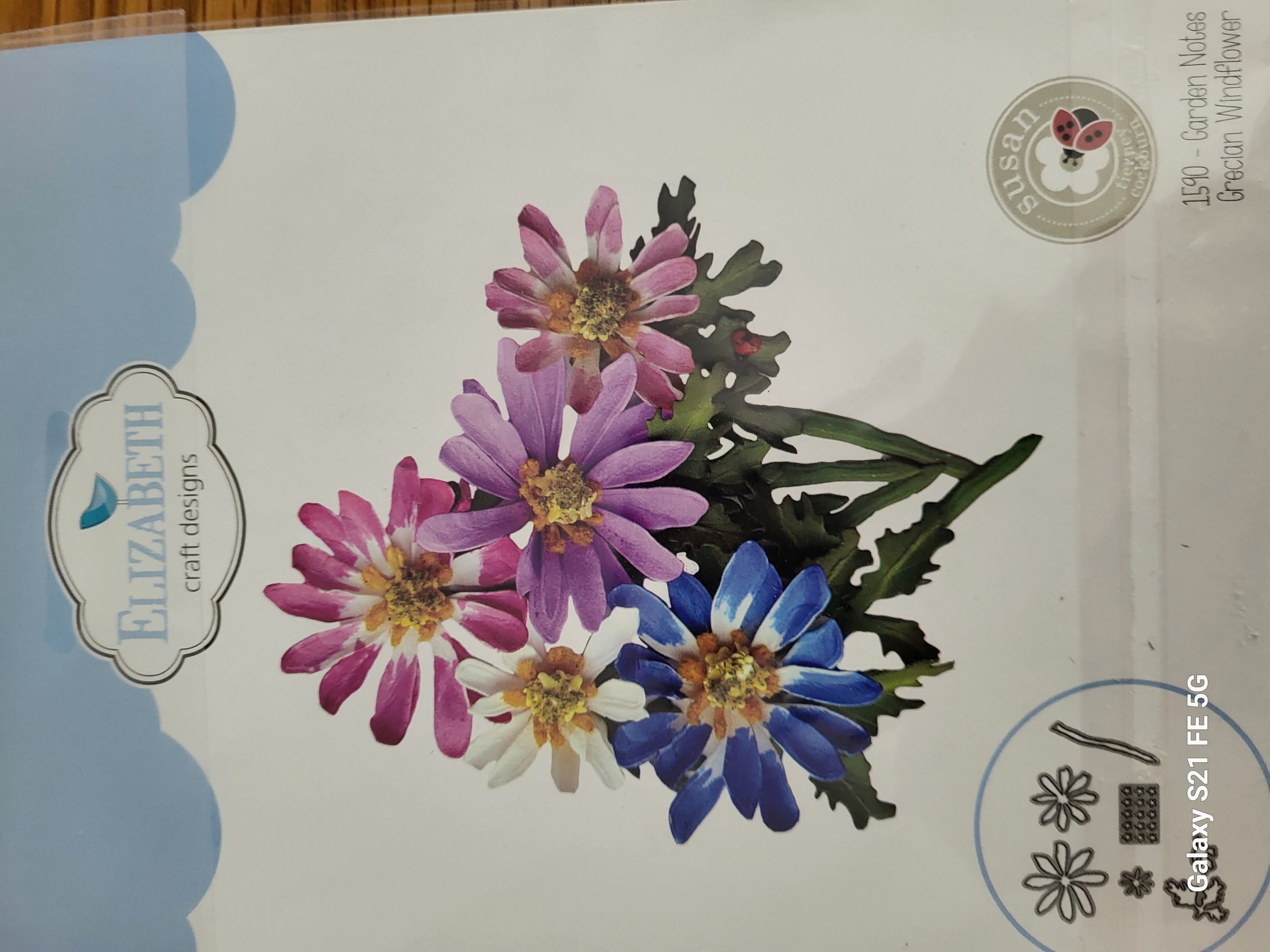 Garden Notes - Grecian Windflower