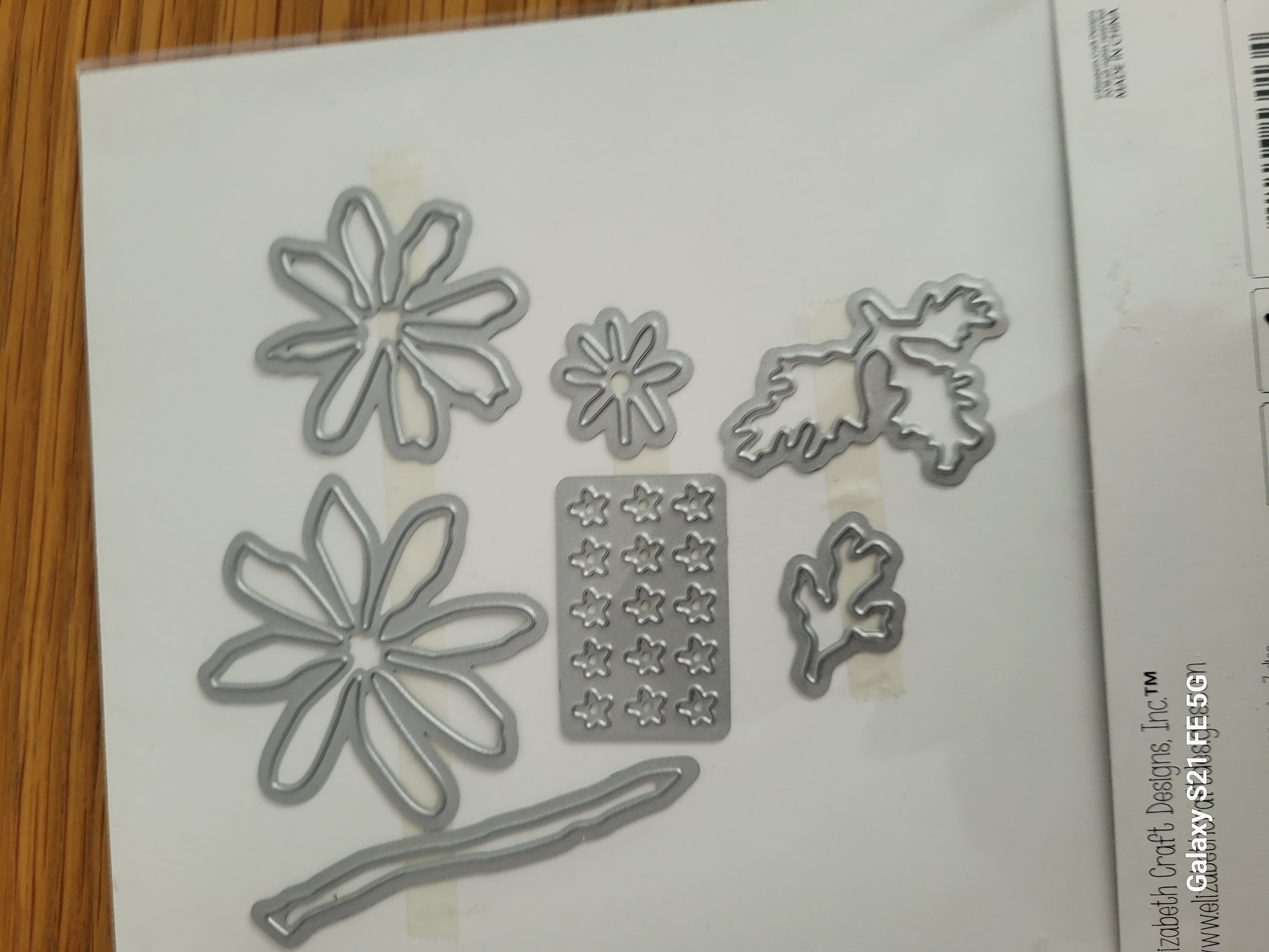 Garden Notes - Grecian Windflower