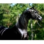 Matted Pet Hair Remover For Horses